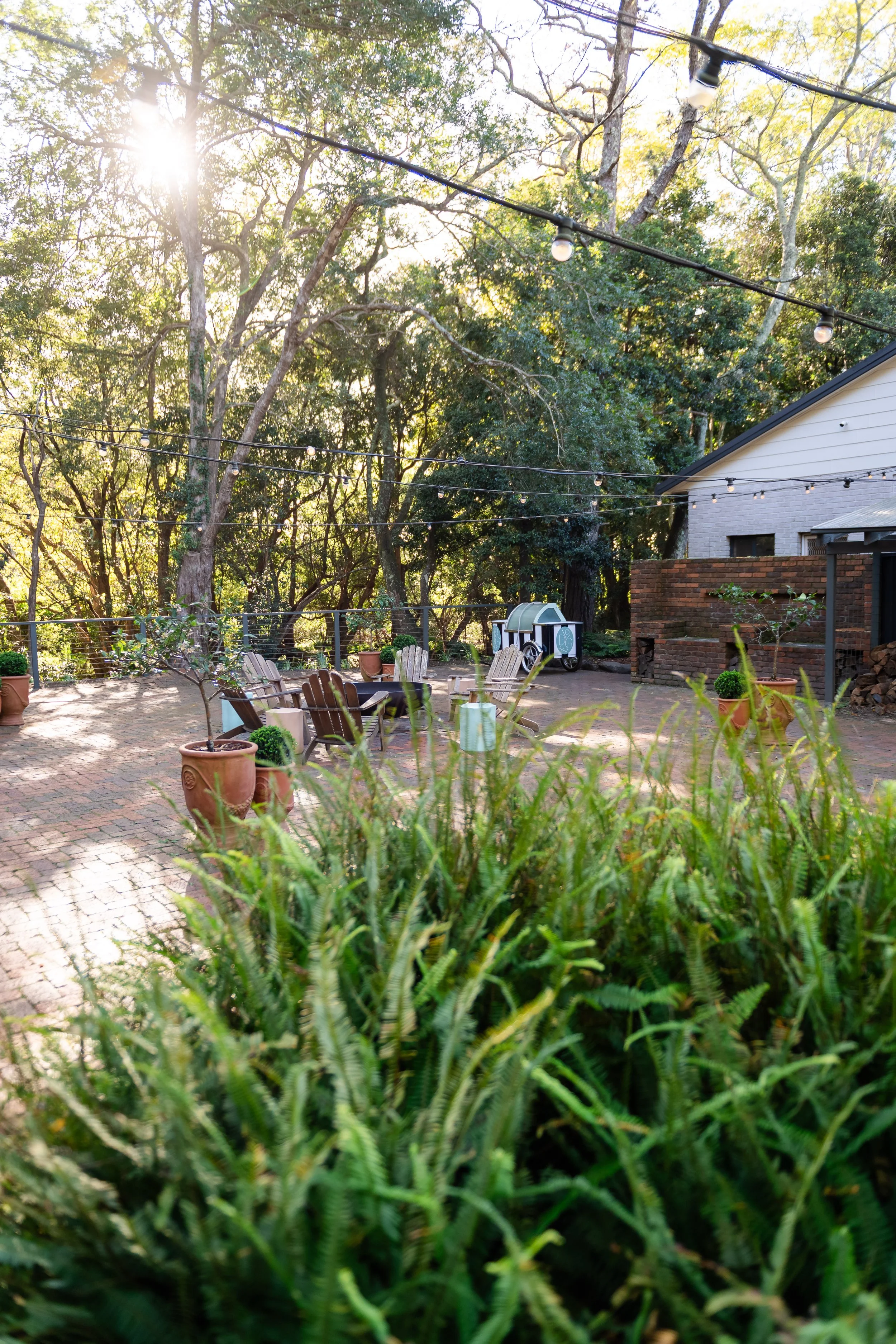 DSC_4422-HDR.jpg