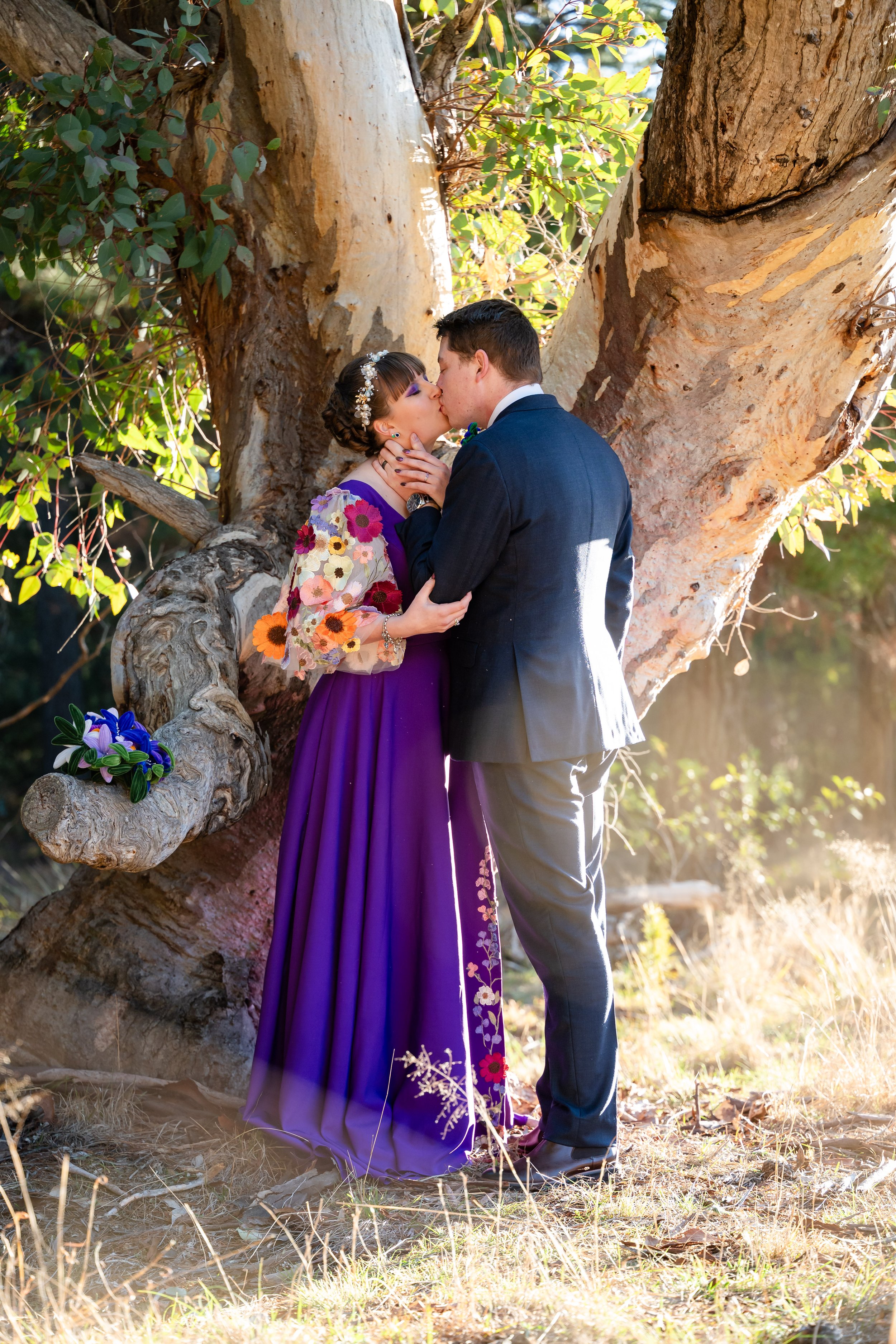 A couple sharing a kiss in front of a large tree during a wedding or romantic photo shoot, with sunlight filtering through the leaves.