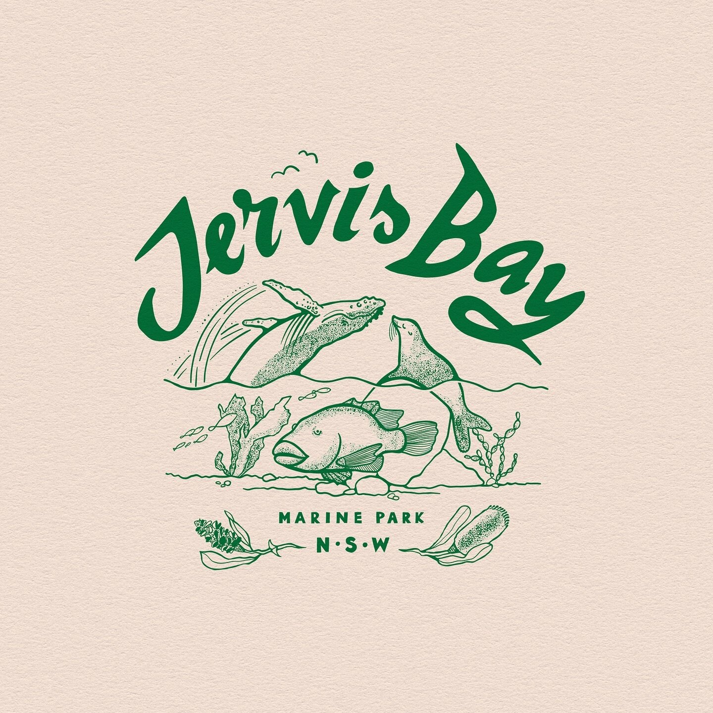 Here&rsquo;s an illustration we did recently for @woebegone_freedive ! We wanted to showcase the gentle and curious creatures you may come across on one of their adventures in the Jervis Bay area 🐠🐳🦑🦈🪸

If you have a business or personal project
