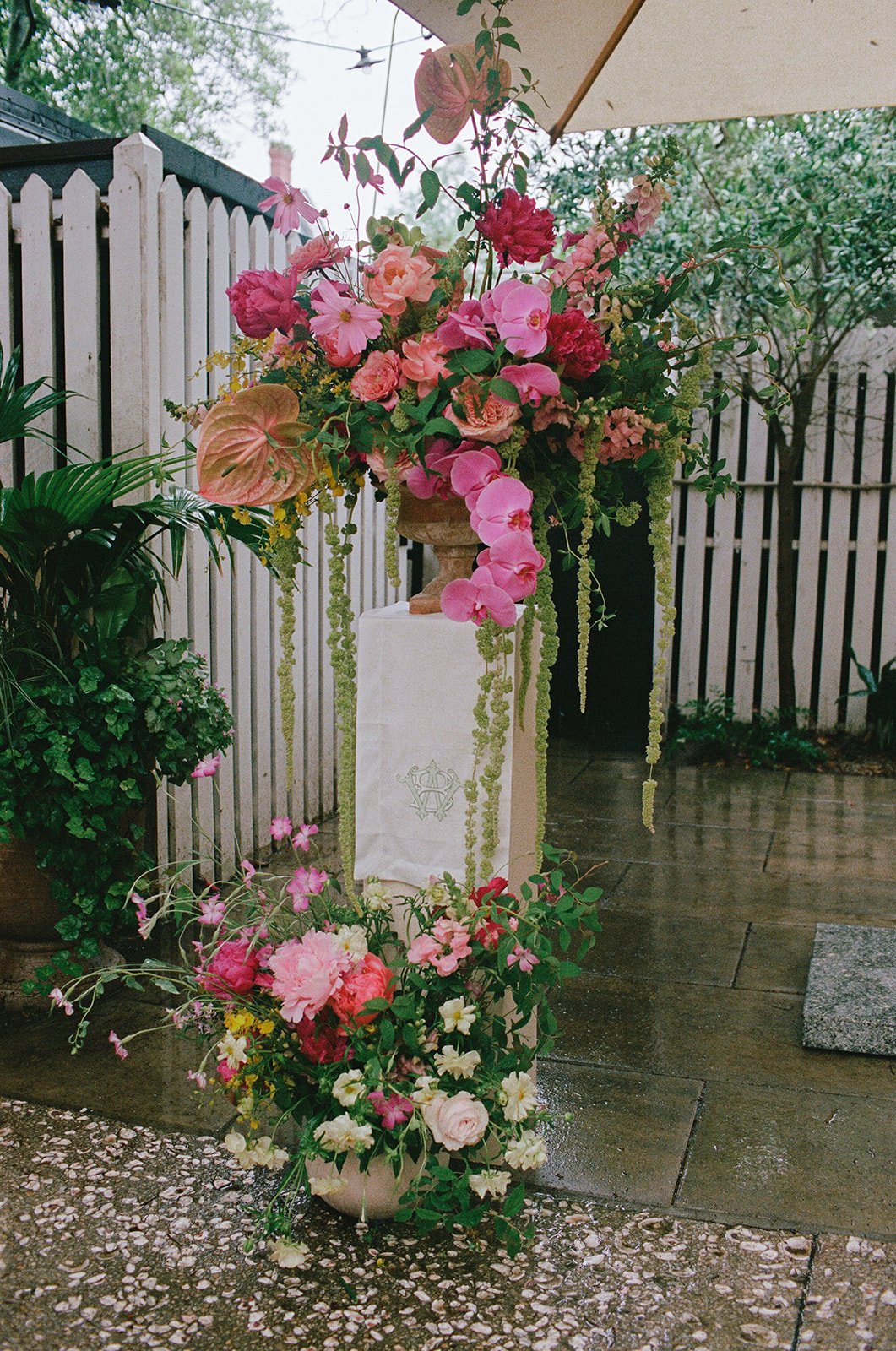 W+B, Film-35.jpg
