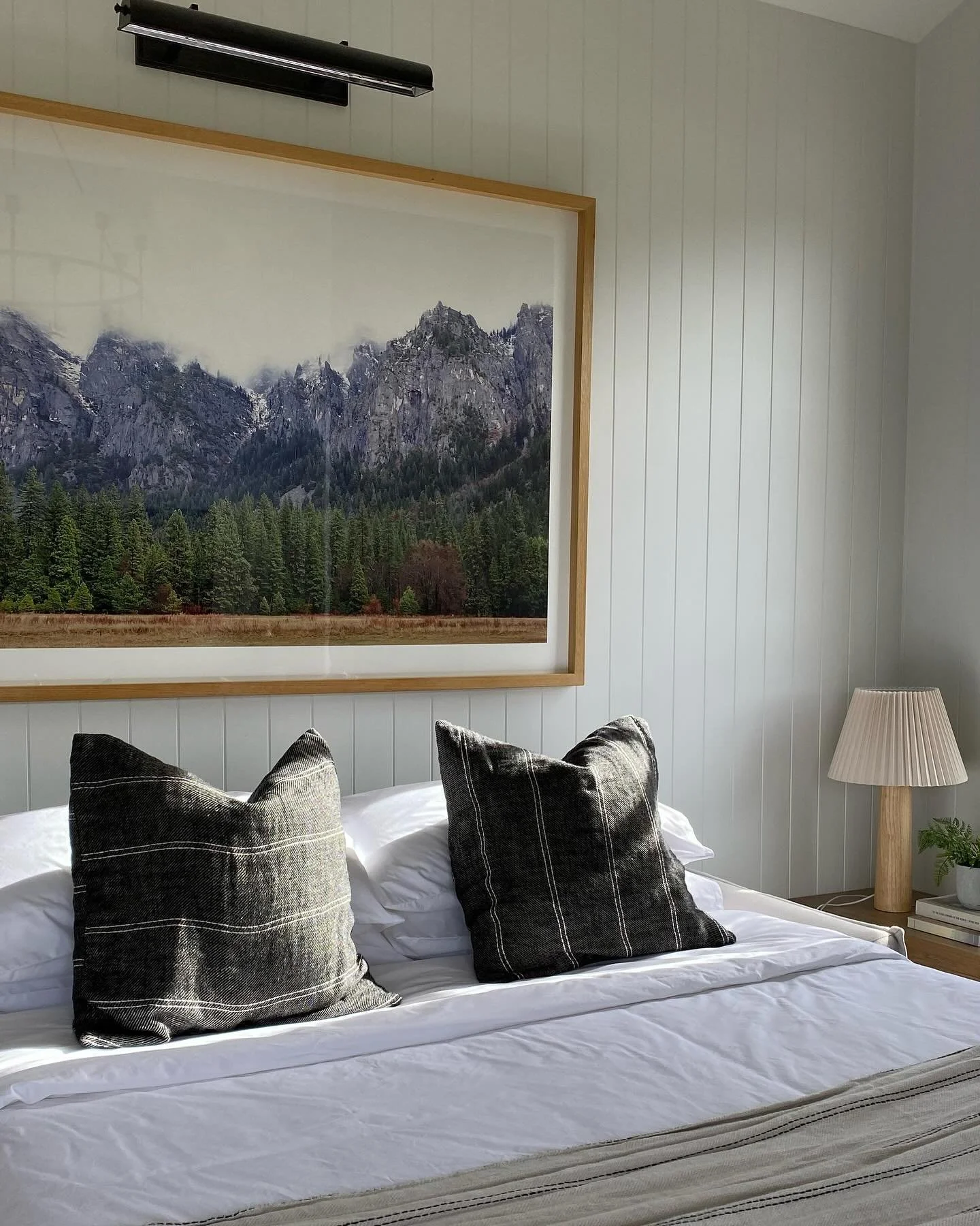 Morning sun rays ☀️