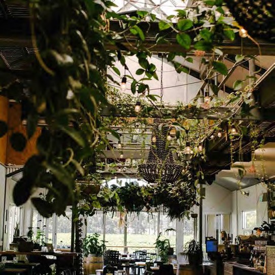 Rockingham À La Carte — Rústico Tapas & Wine Bar