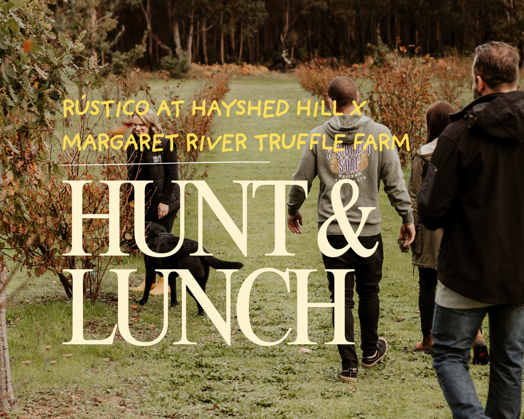 HUNT & LUNCH