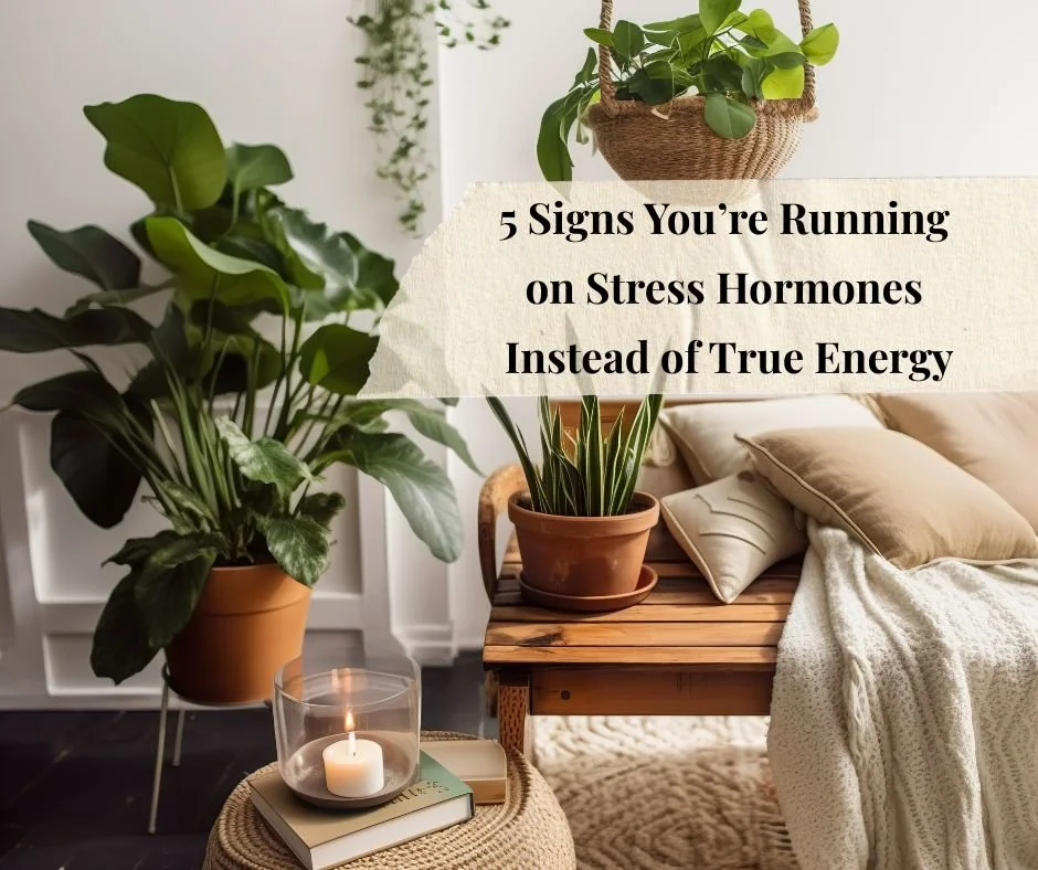 5 Signs You’re Running on Stress Hormones Instead of True Energy