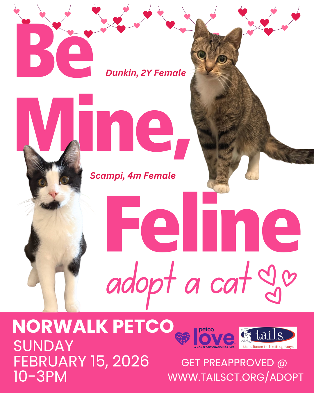 TAILS Adoption Event