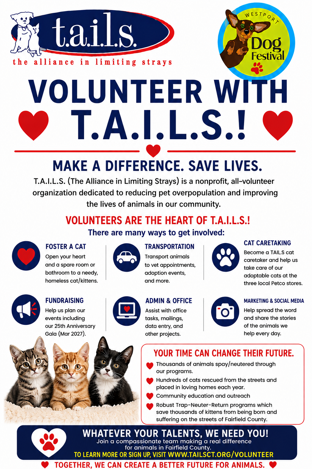 TAILS Monthly Volunteer Meeting