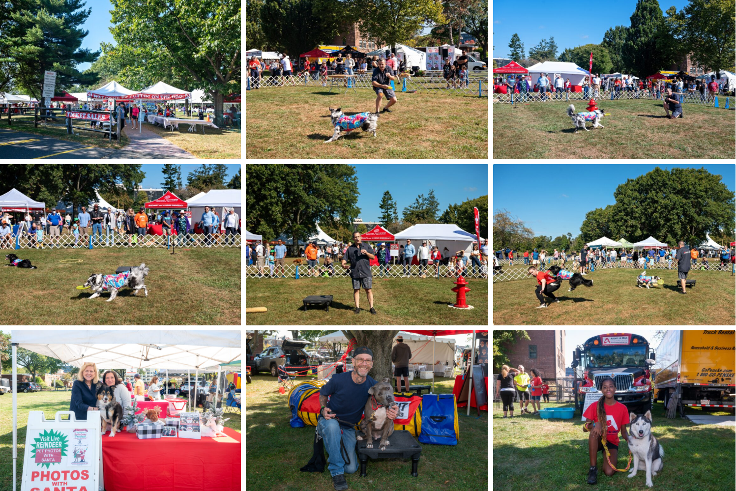 Photos from 2024's Puttin On The Dog Event