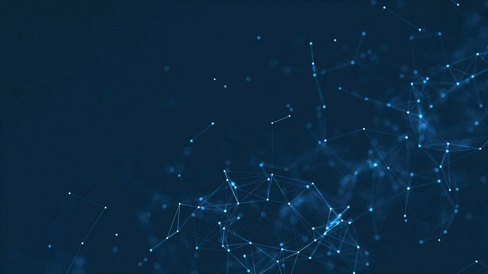 about-us-bluebird-data