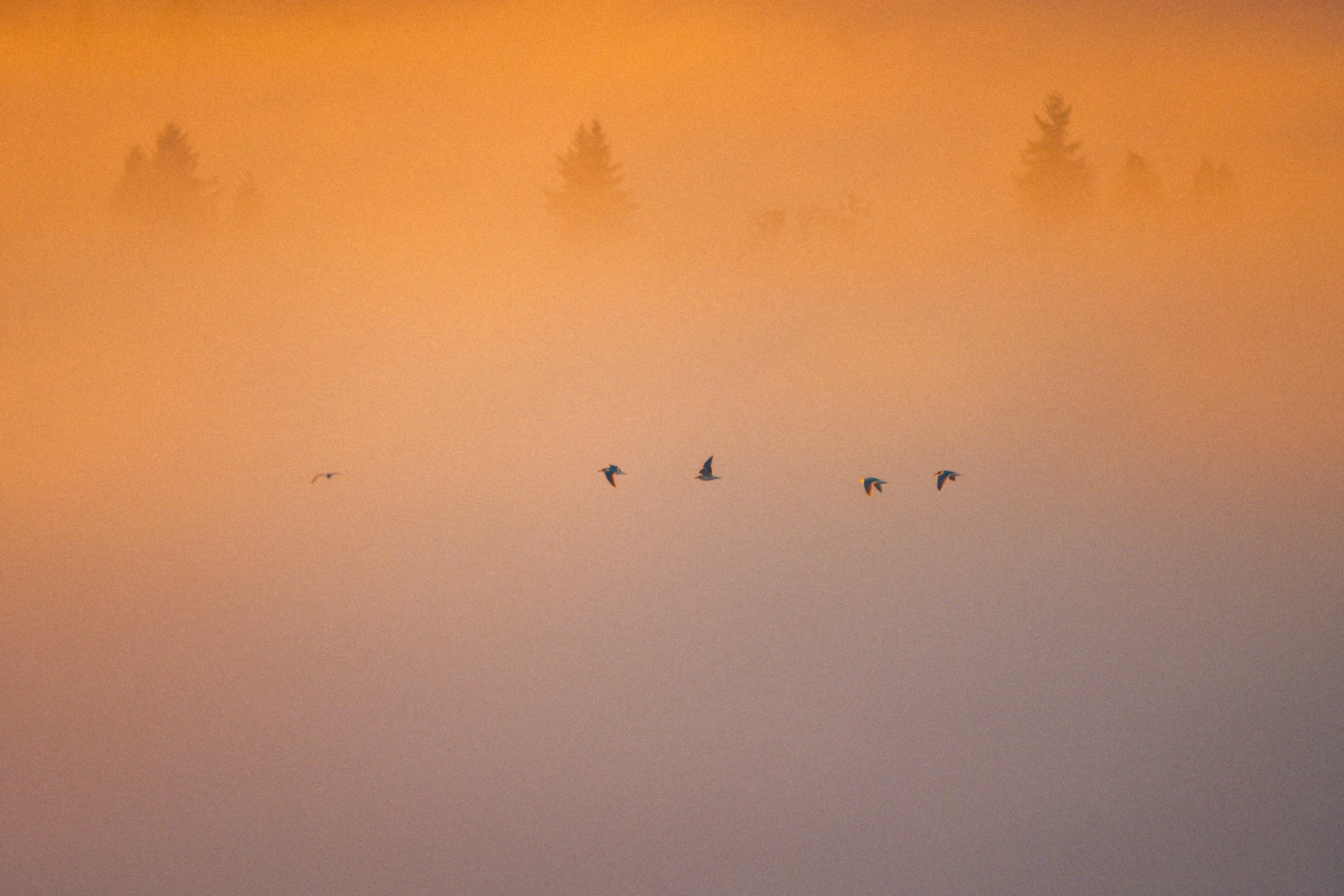 How to Deepen Relationships (Without Losing Yourself)