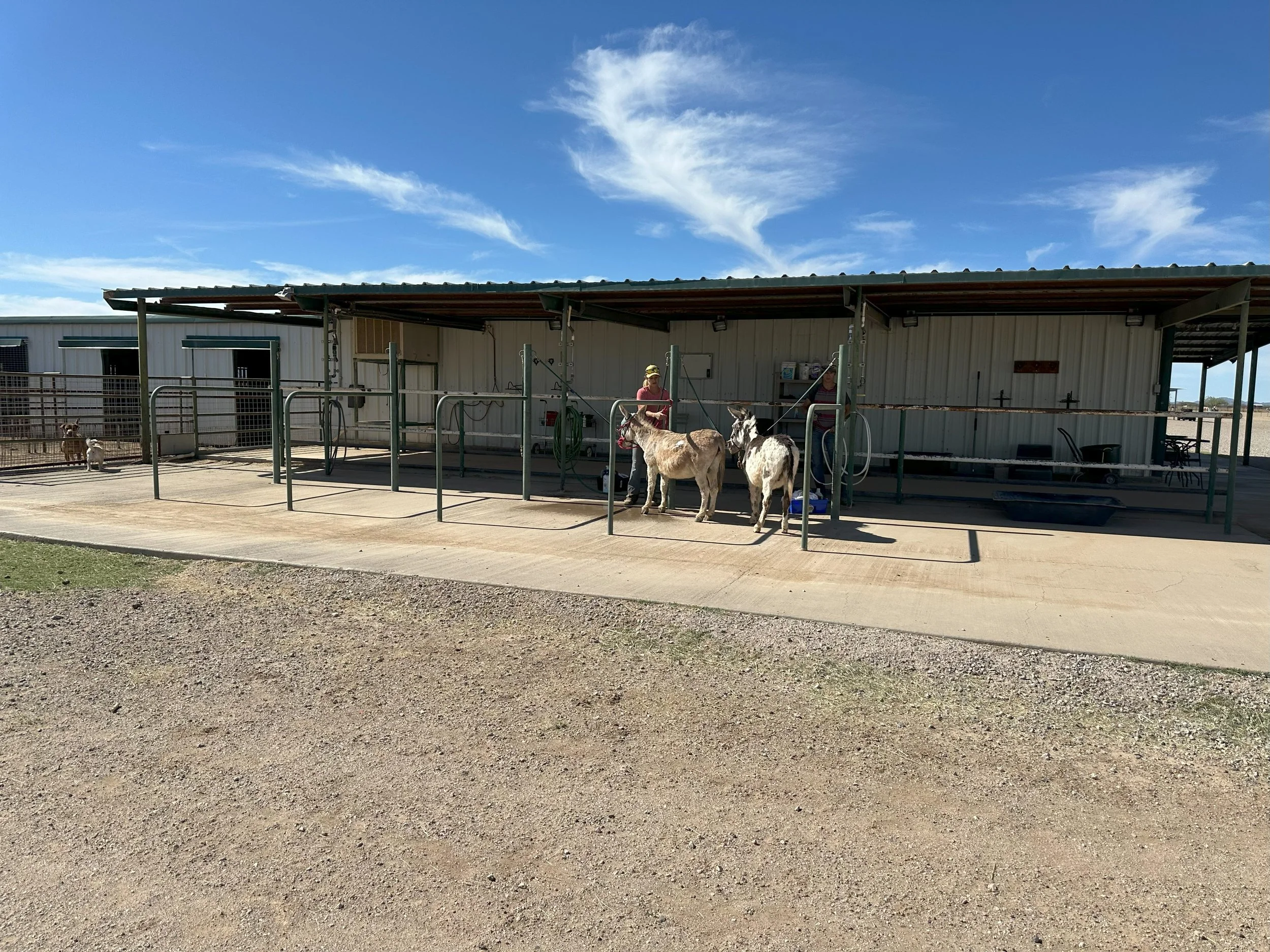 full wash rack .jpg