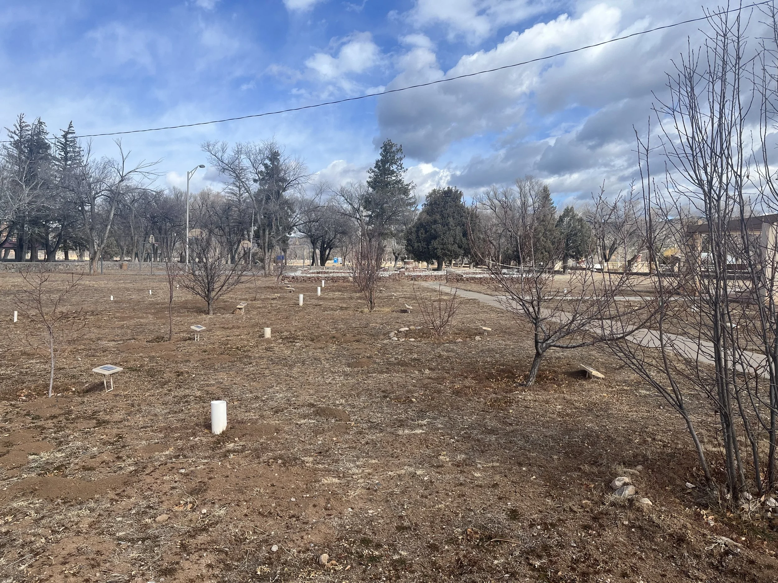 Above & Below Orchard Care