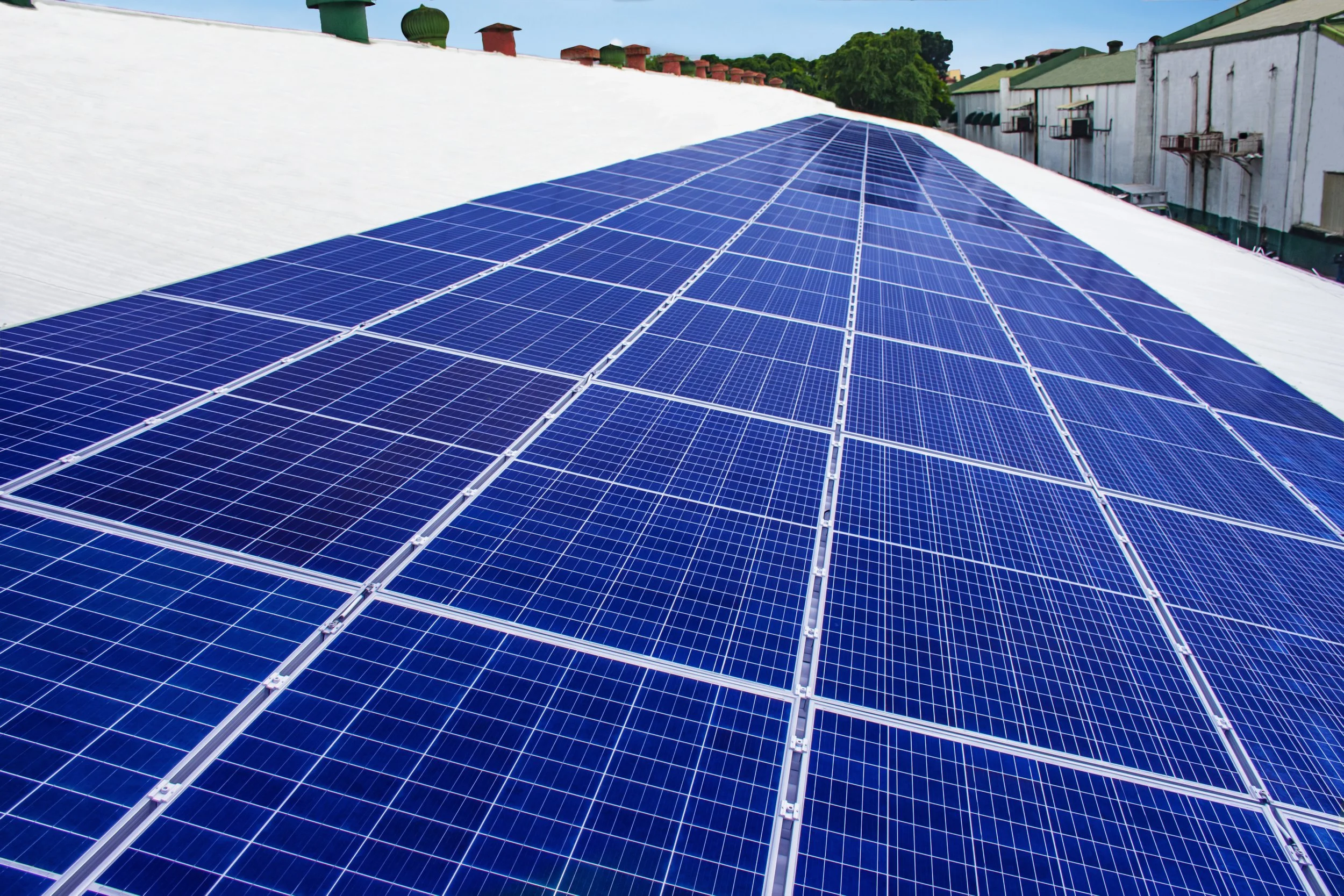 PTFC Baesa 1.1 high.jpg