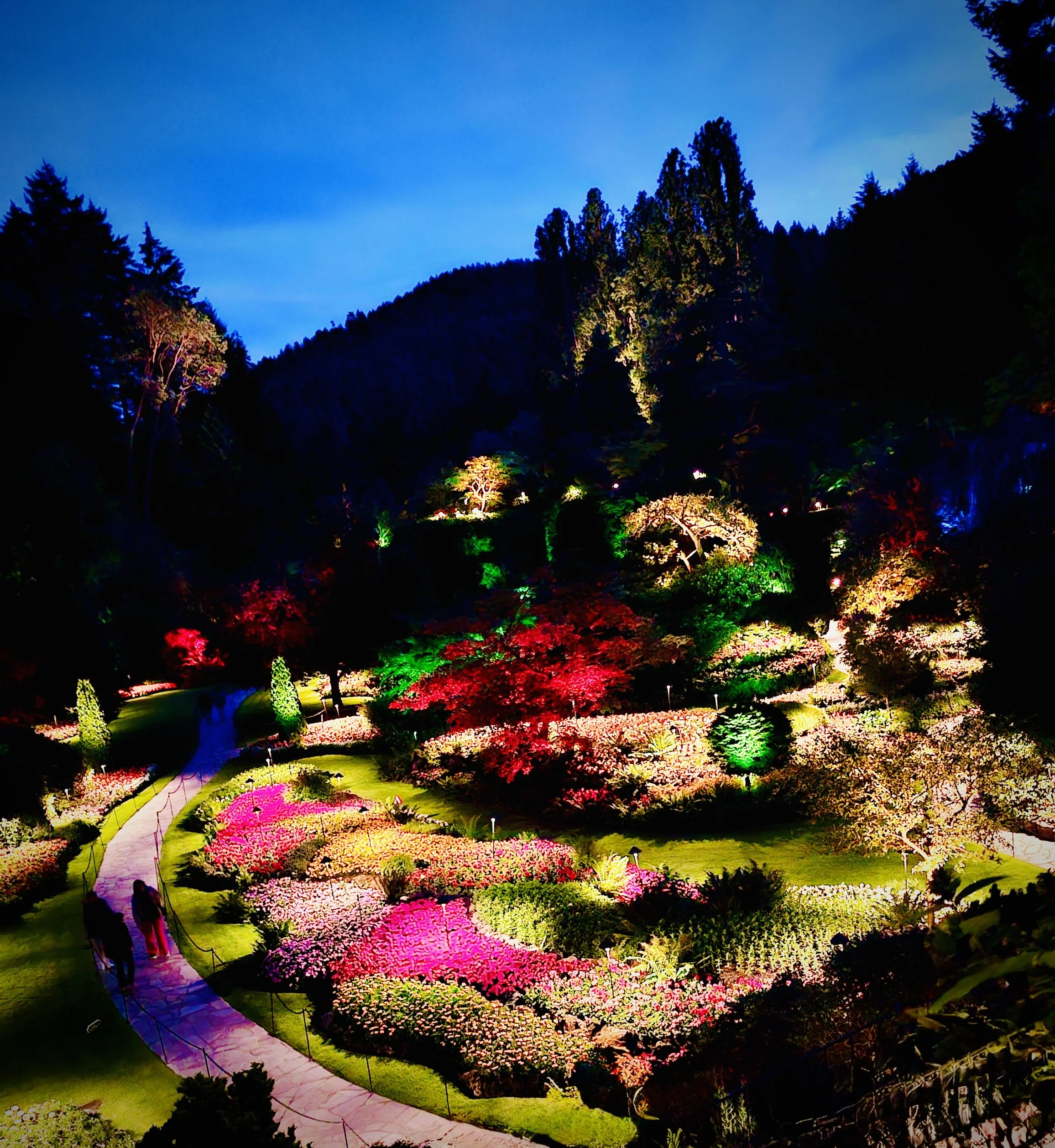 Evening Bliss at the Garden