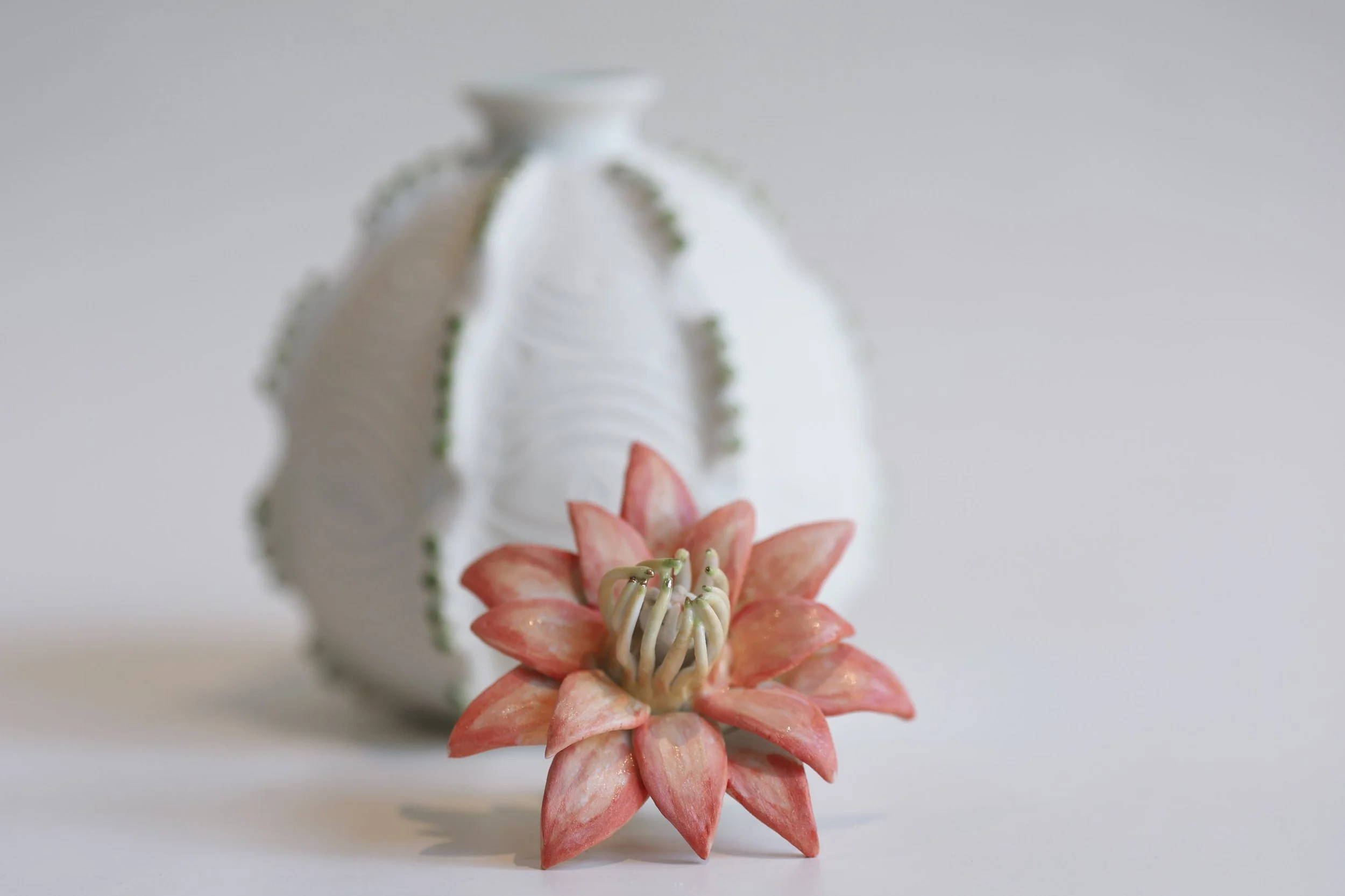 A Skopelos Cactus flower. 

#porcelain #porcelainart #ceramics #wheelthrownceramics #keramic