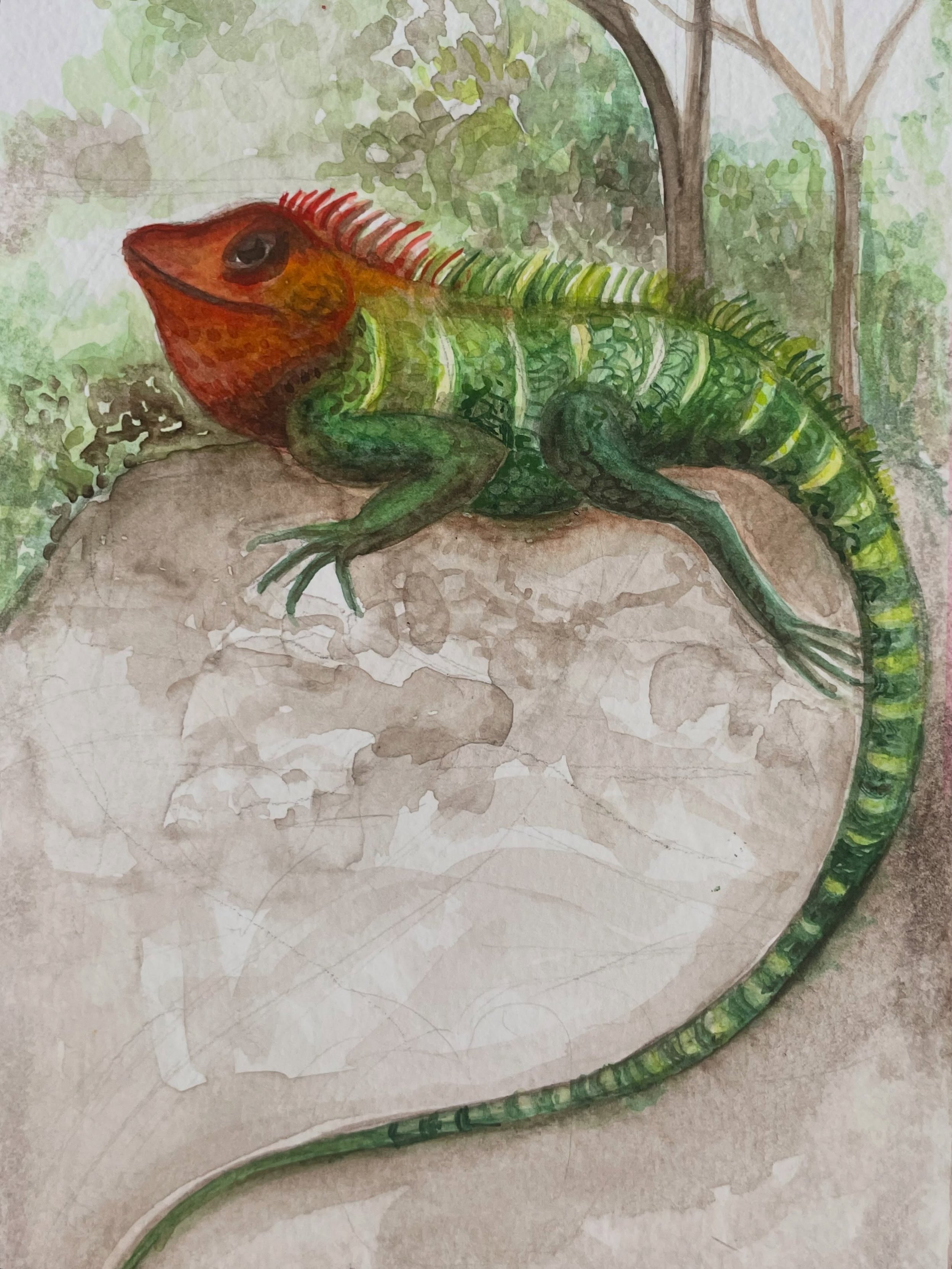 Looking back through my sketchbook, which I always take with me on holiday, I came across this painting of the first chameleon I had ever seen. I was completely captivated by this amazing little creature and its beautiful colours. I had no idea then 
