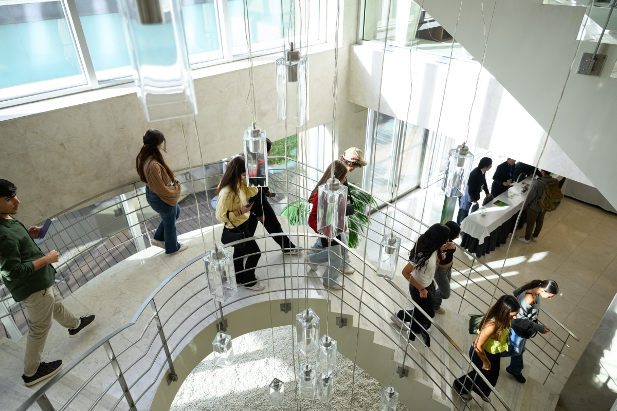 Carreiras-14 1200 x 800.png