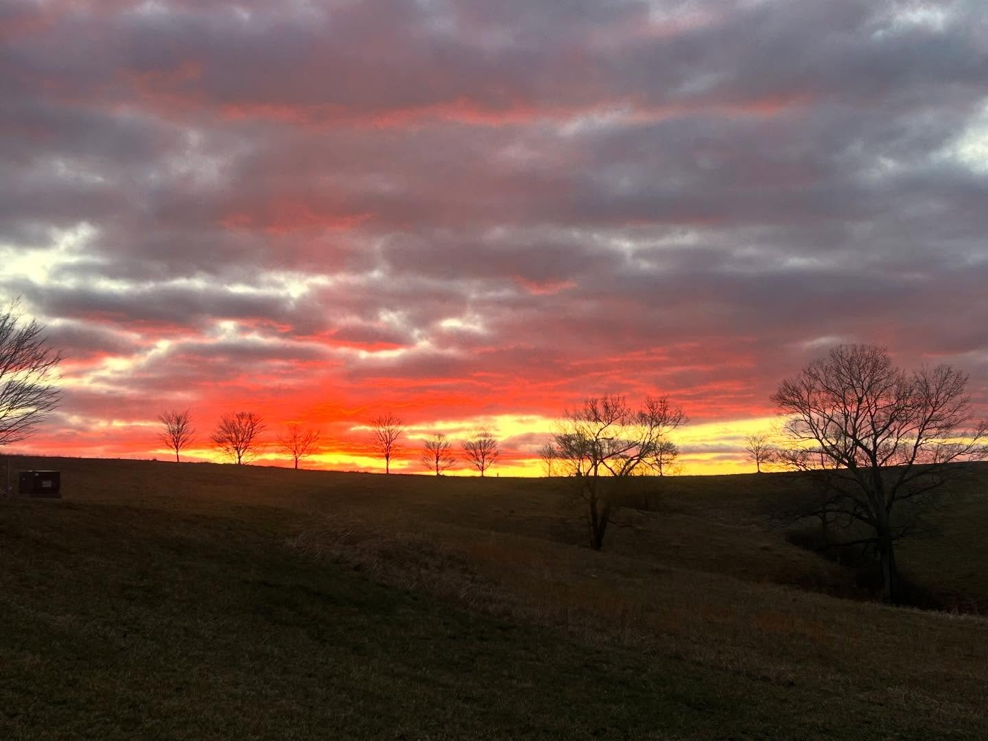 Happy Firewine Friday!! What are you up to?
Do let us know. In the meantime enjoy our firesky view🔥 

~xoxo~www.firewine.social

 #Firewine #wine #winelovers #winetime #vino #spirits #winetasting #vin  #vineyard #drinks #redwine #dryrose #whitewine 