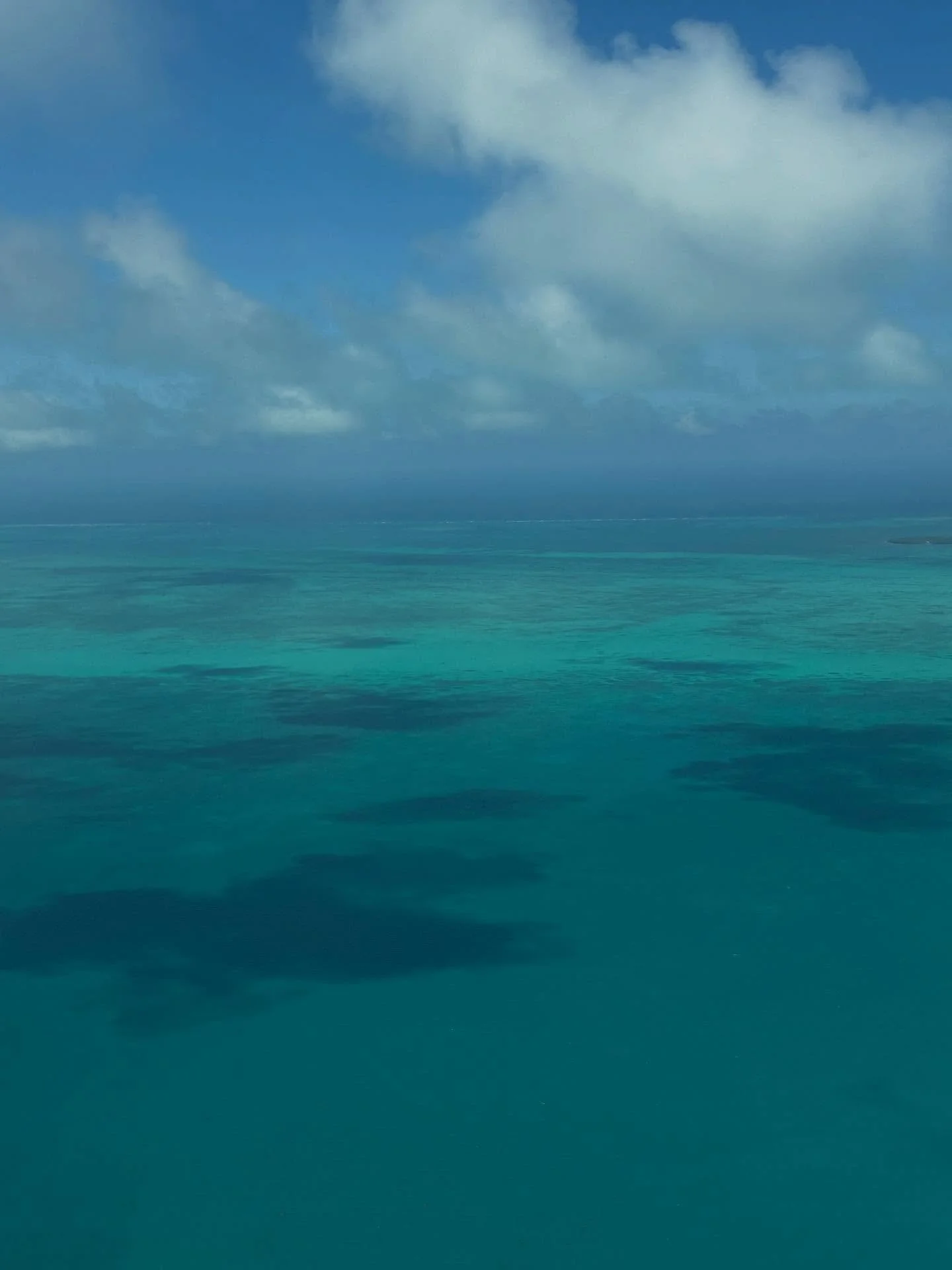 Happy Firewine Friday!! &mdash;Turquoise dreamin&rsquo;? Have your own getaway to 🔥island. 

Stop by and experience us.

~xoxo www.firewine.social

 #Firewine #wine #winelovers #Friday #islandlife