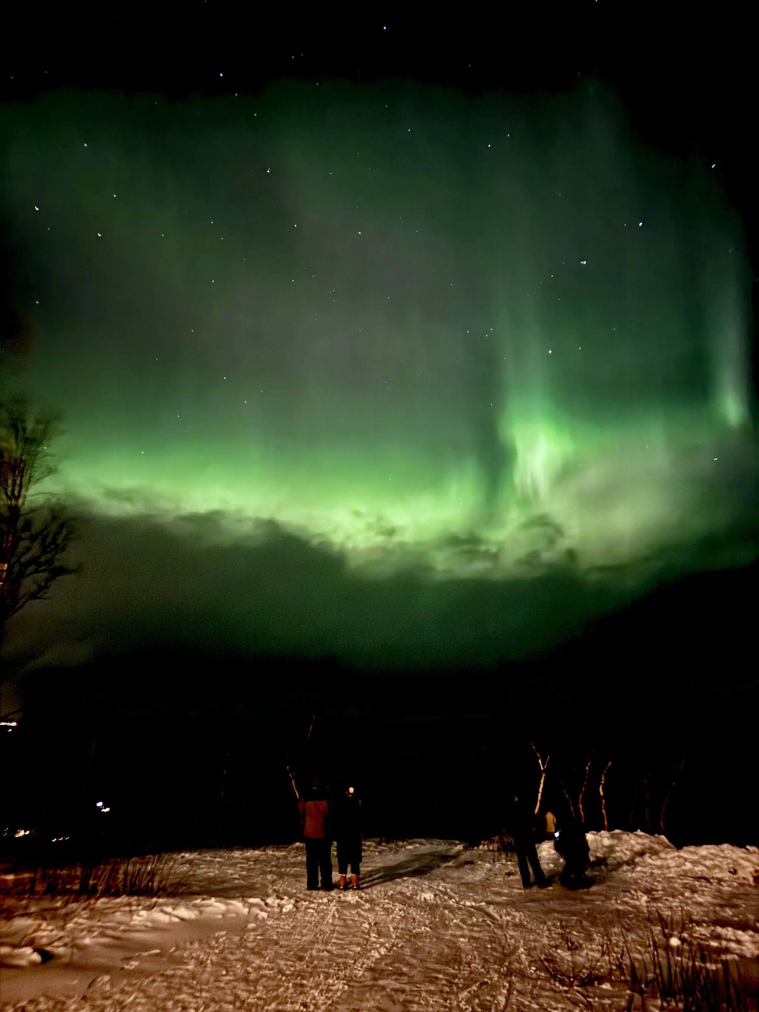 Capture of the Aurora Borealis Northern Lights by Lenie Caston-Miller in Abisko Sweden