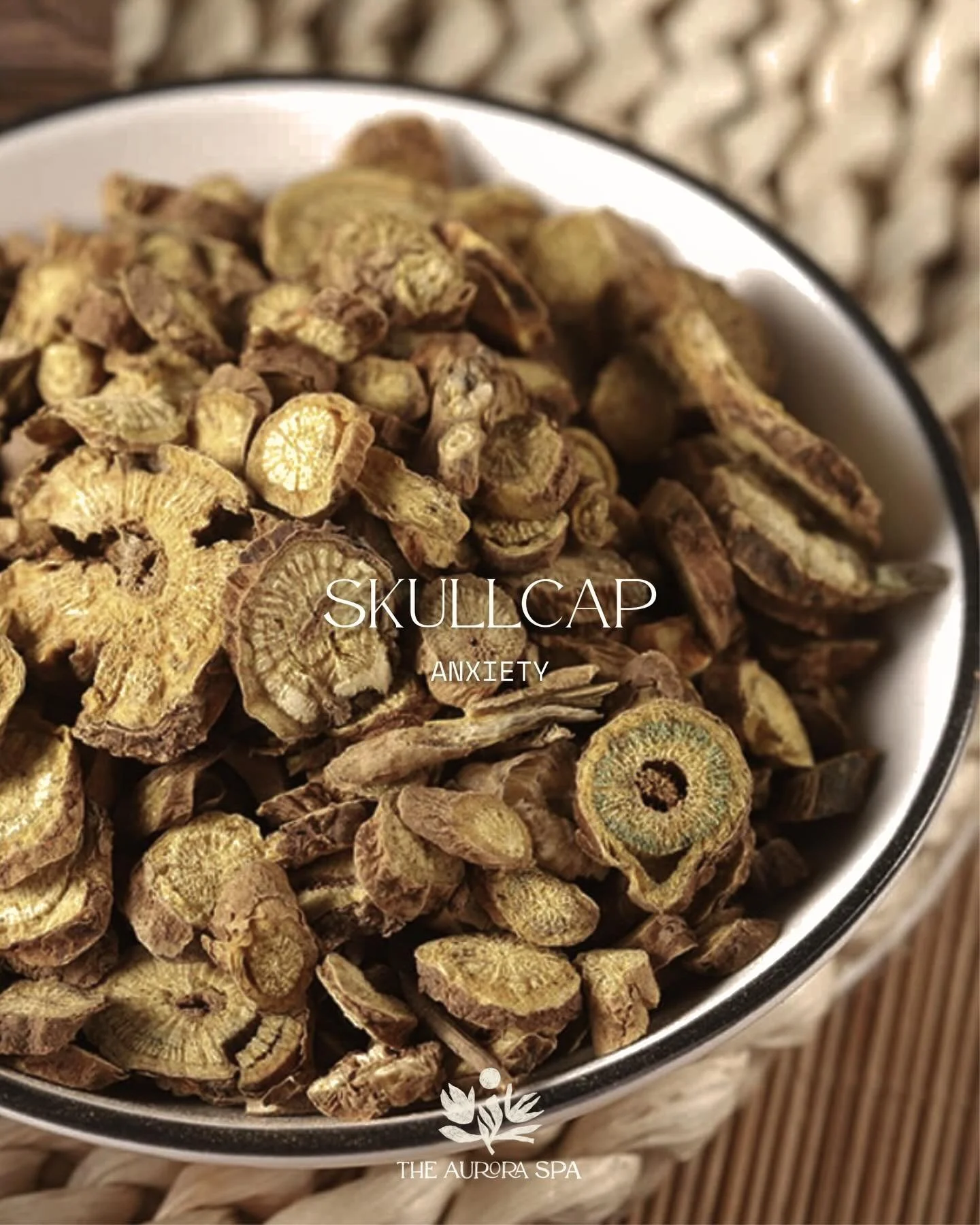 Skullcap &mdash; For Anxiety

A plant for when the nervous system needs reassurance, not suppression. 🌿

Skullcap is a deeply calming botanical traditionally used to quiet an overactive nervous system. Known for its grounding effect, it helps ease r