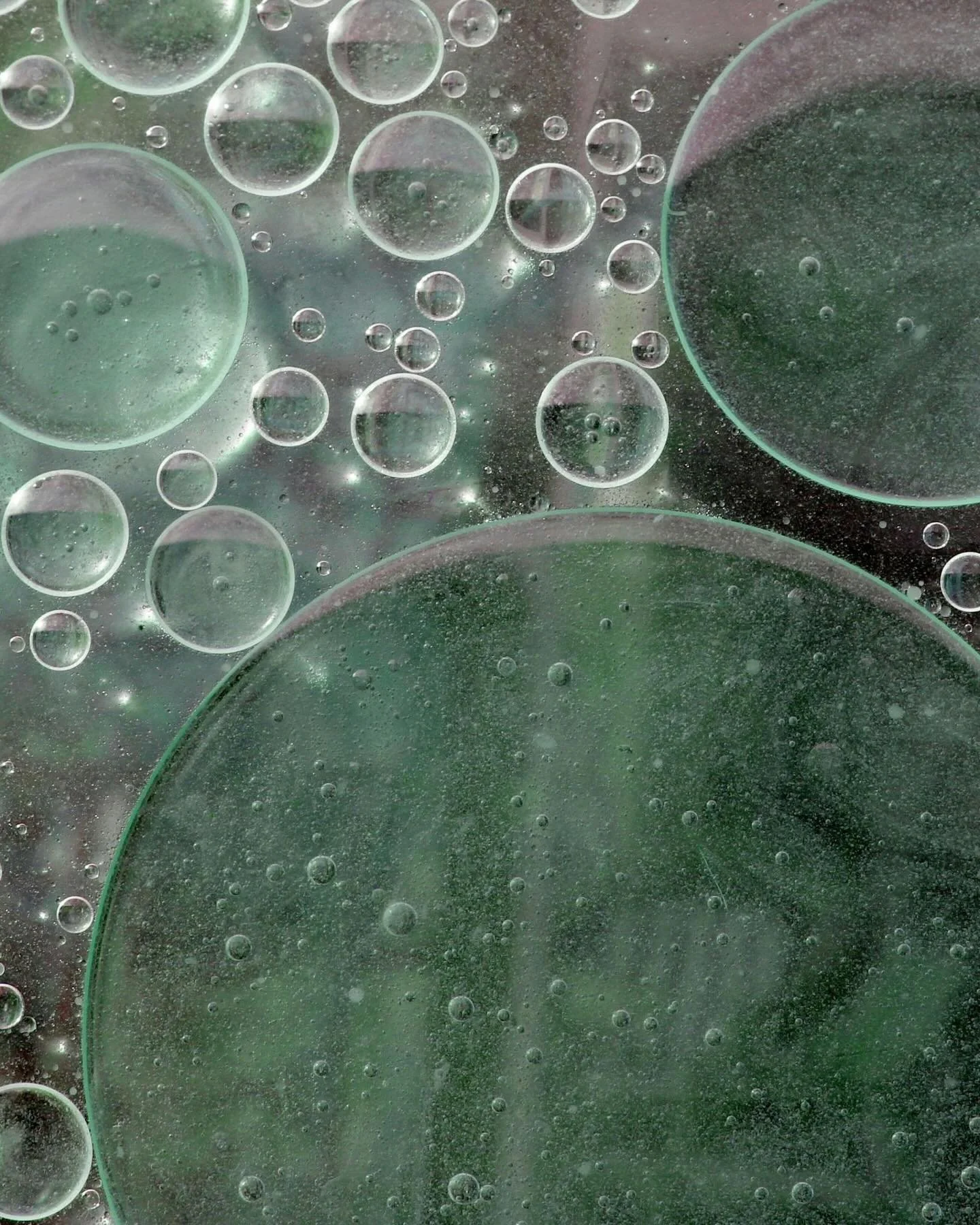 Ready to experience Aurora&mdash;at home?

Aurora Spa is a luxury home wellness service, bringing intentional, plant-guided treatments directly into your personal space. Each session is designed to create a calm, restorative environment, allowing the