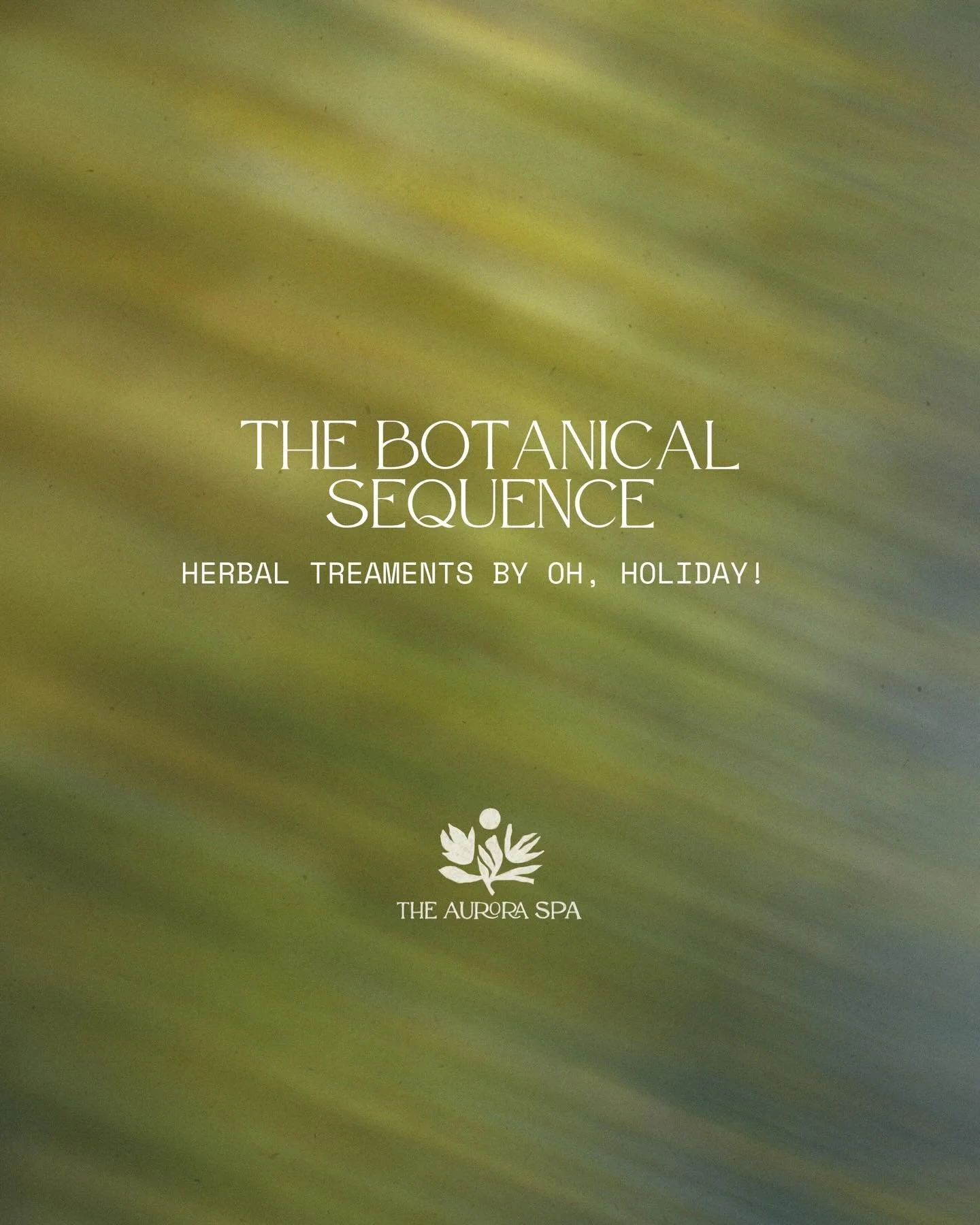 Aurora Spa Botanical Oils. A Deeper Ritual of Care.

Our botanical infusions are crafted to work in synergy with your physiology, absorbed through the skin, influencing the nervous system, and supporting circulation, allowing each plant to interact w