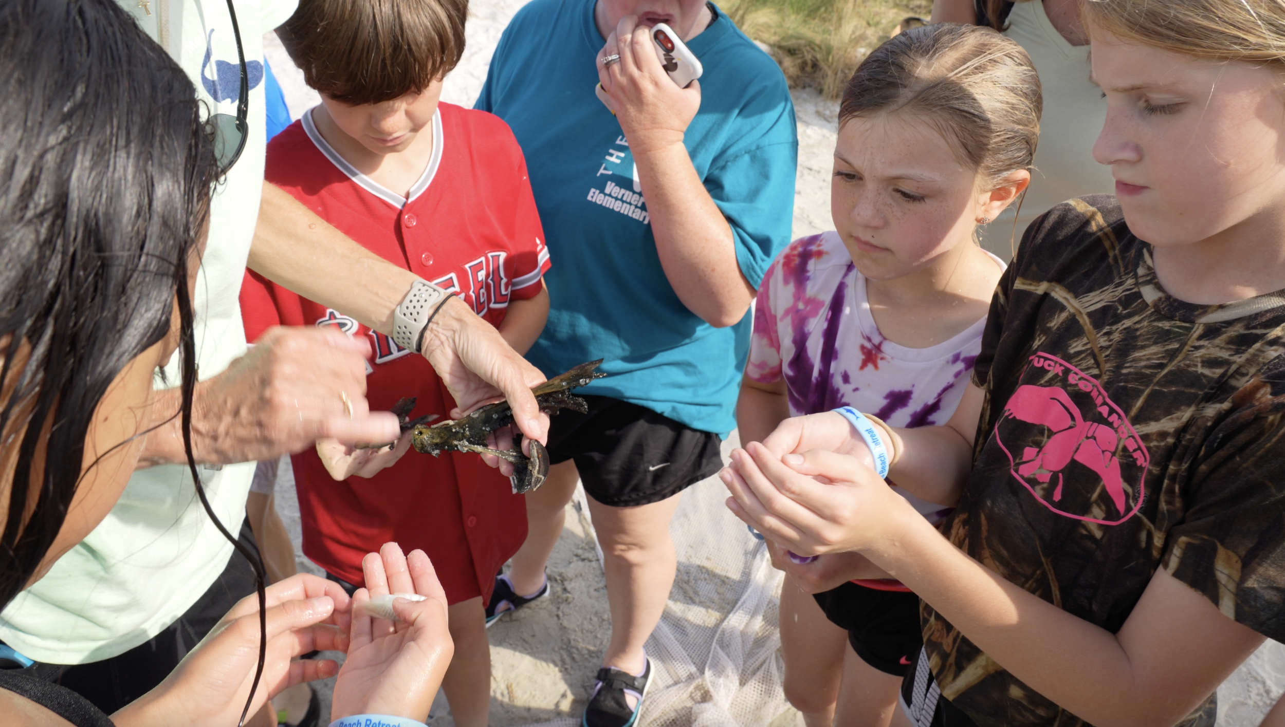 Alabama Field Trip Ideas: Educational Destinations Worth the Bus Ride