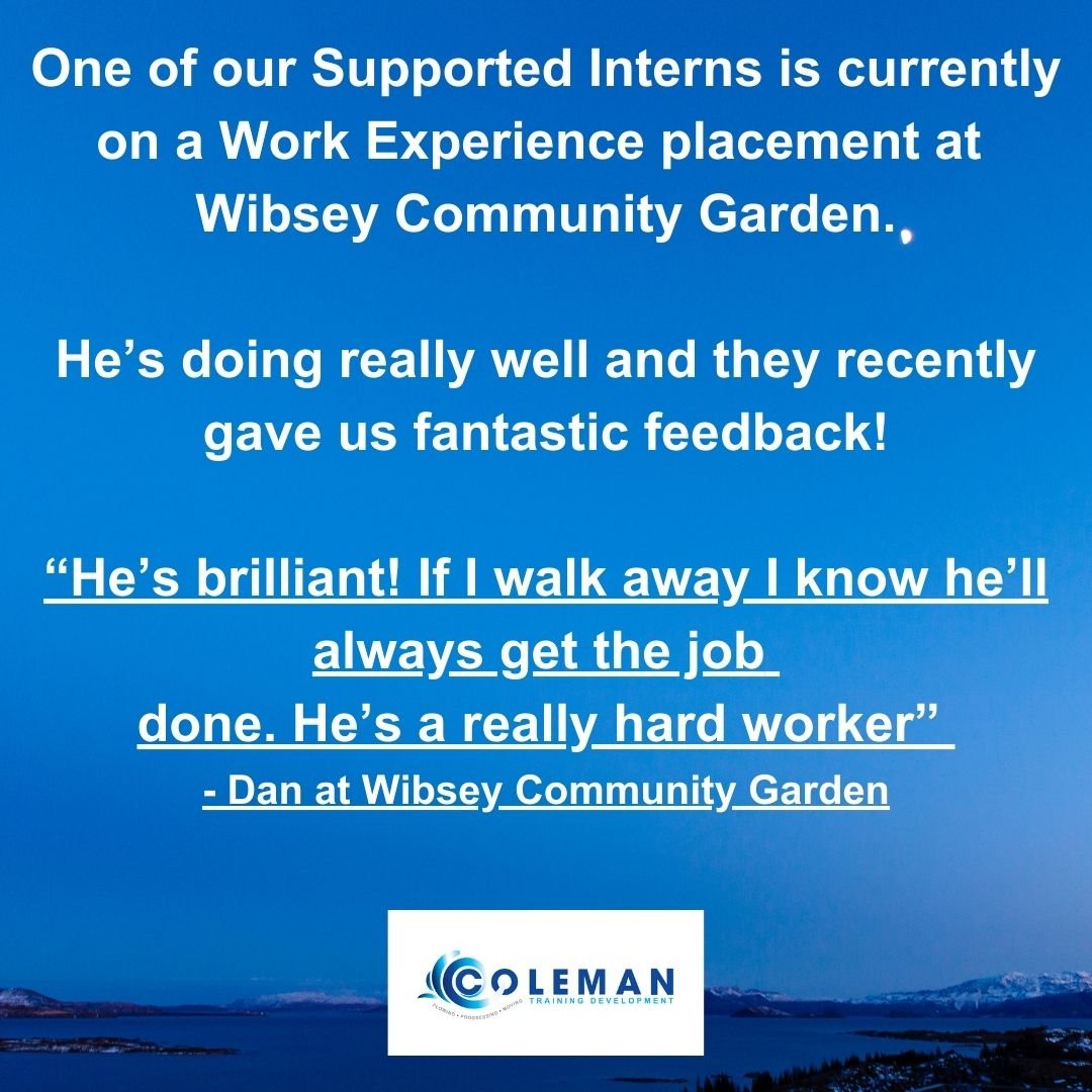 Work Experience placement feedback