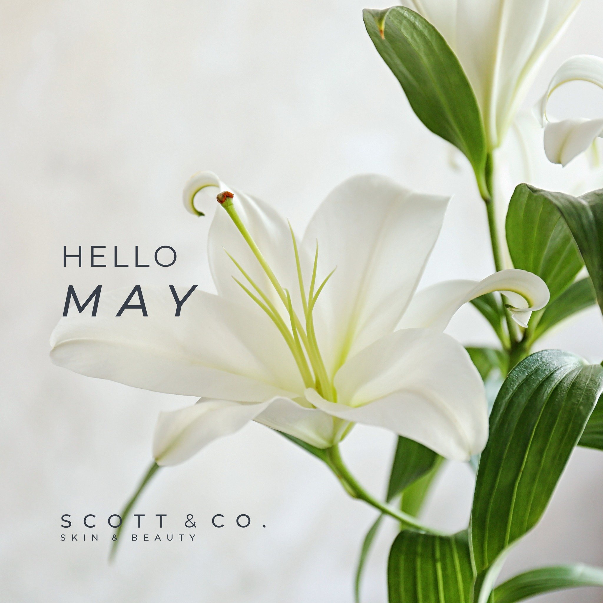 It's time to roll out the welcome mat for the month of flowers, sunshine, and all-around good vibes! 🌞 

May isn't just another month, it's like nature hitting the 'refresh' button, giving us a fresh start and a burst of energy 🌷 

#HelloMay #NewBe