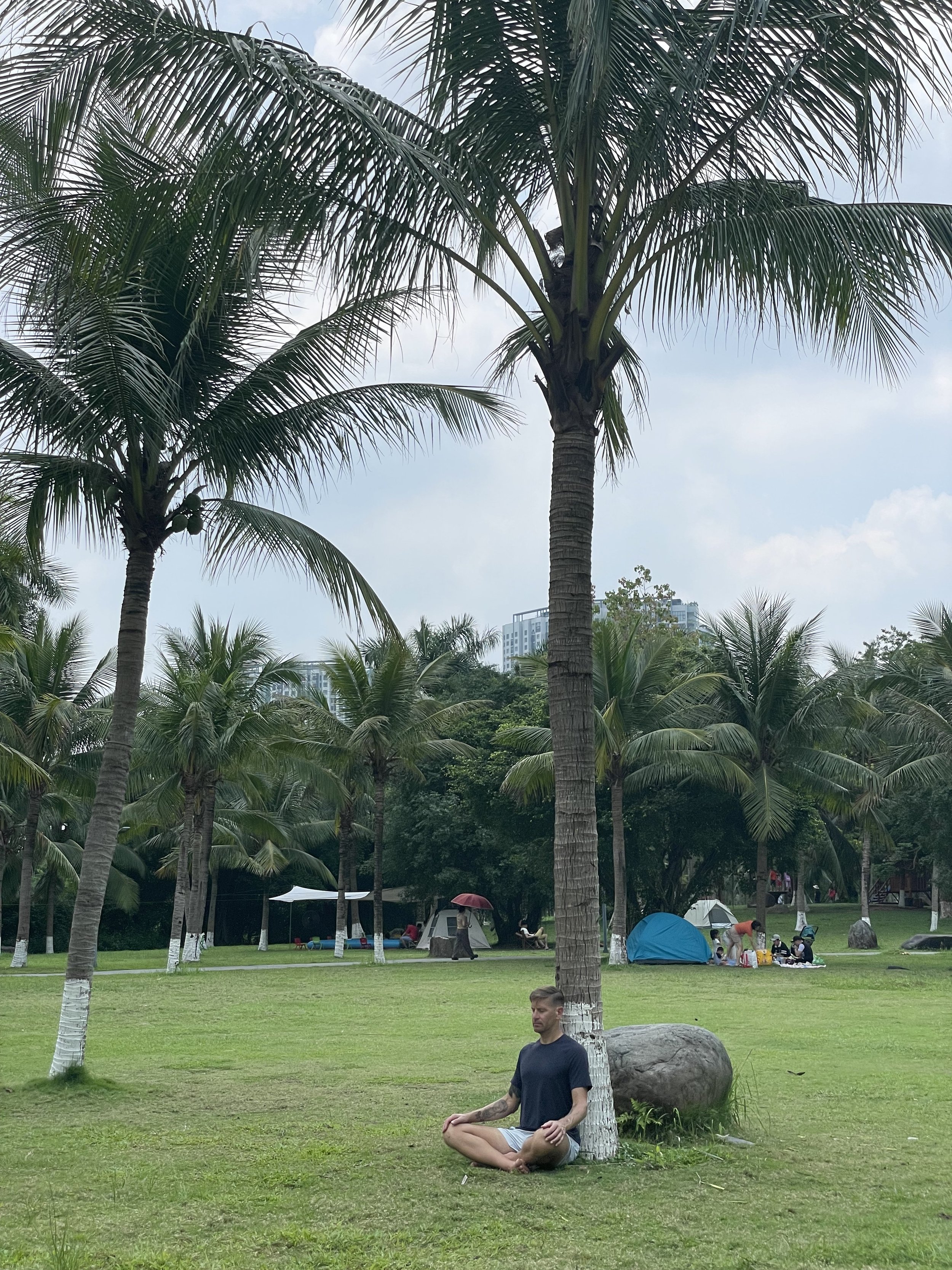 ecopark hanoi qi gong training hermetic internal alchemy daoist nei gong