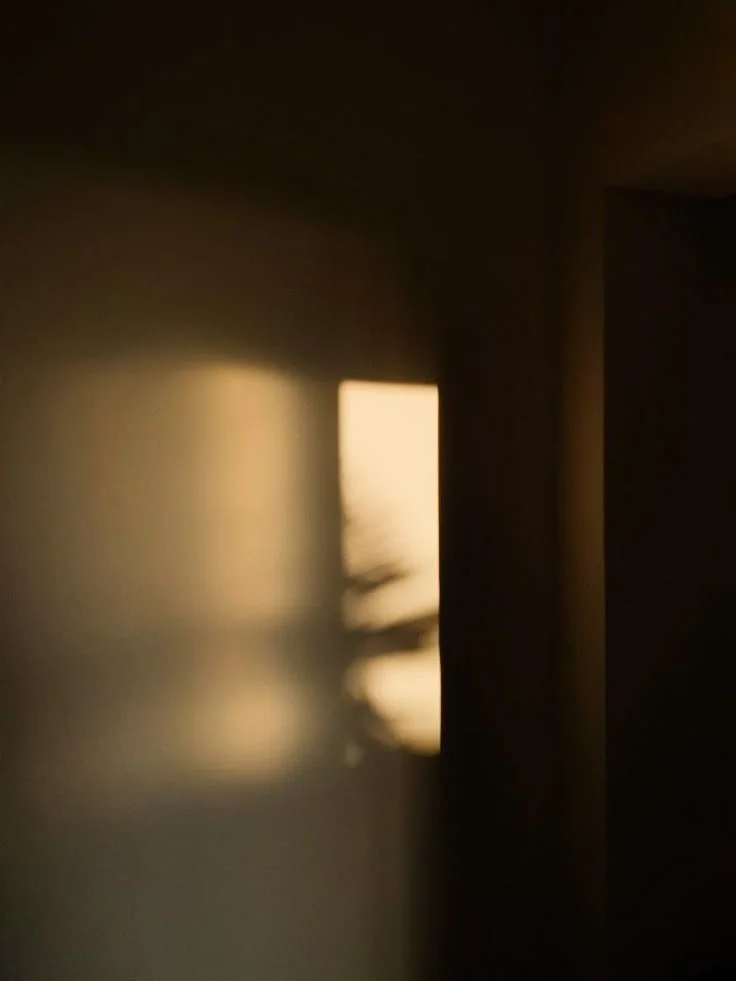 Q&amp;A: What are the shadows?