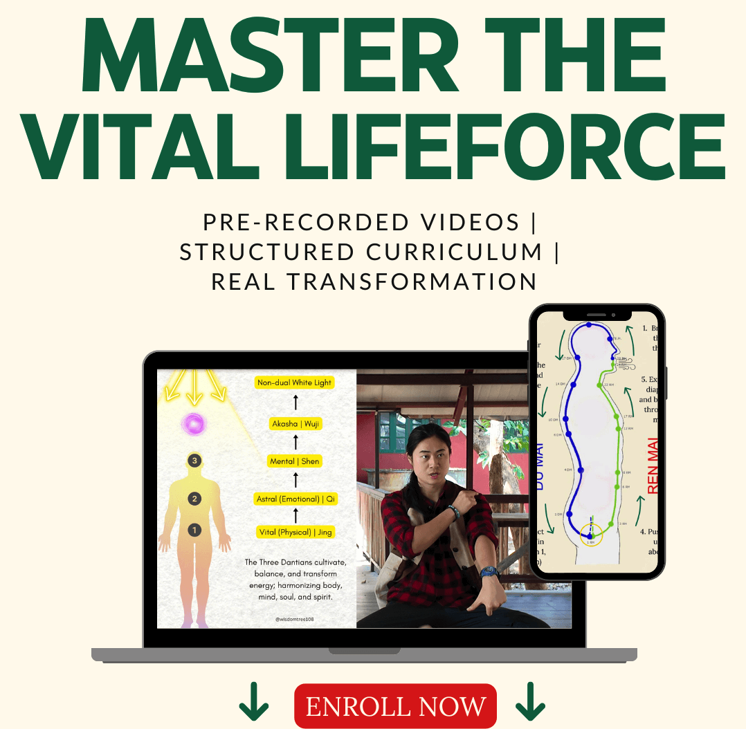 master vital lifeforce energy training
