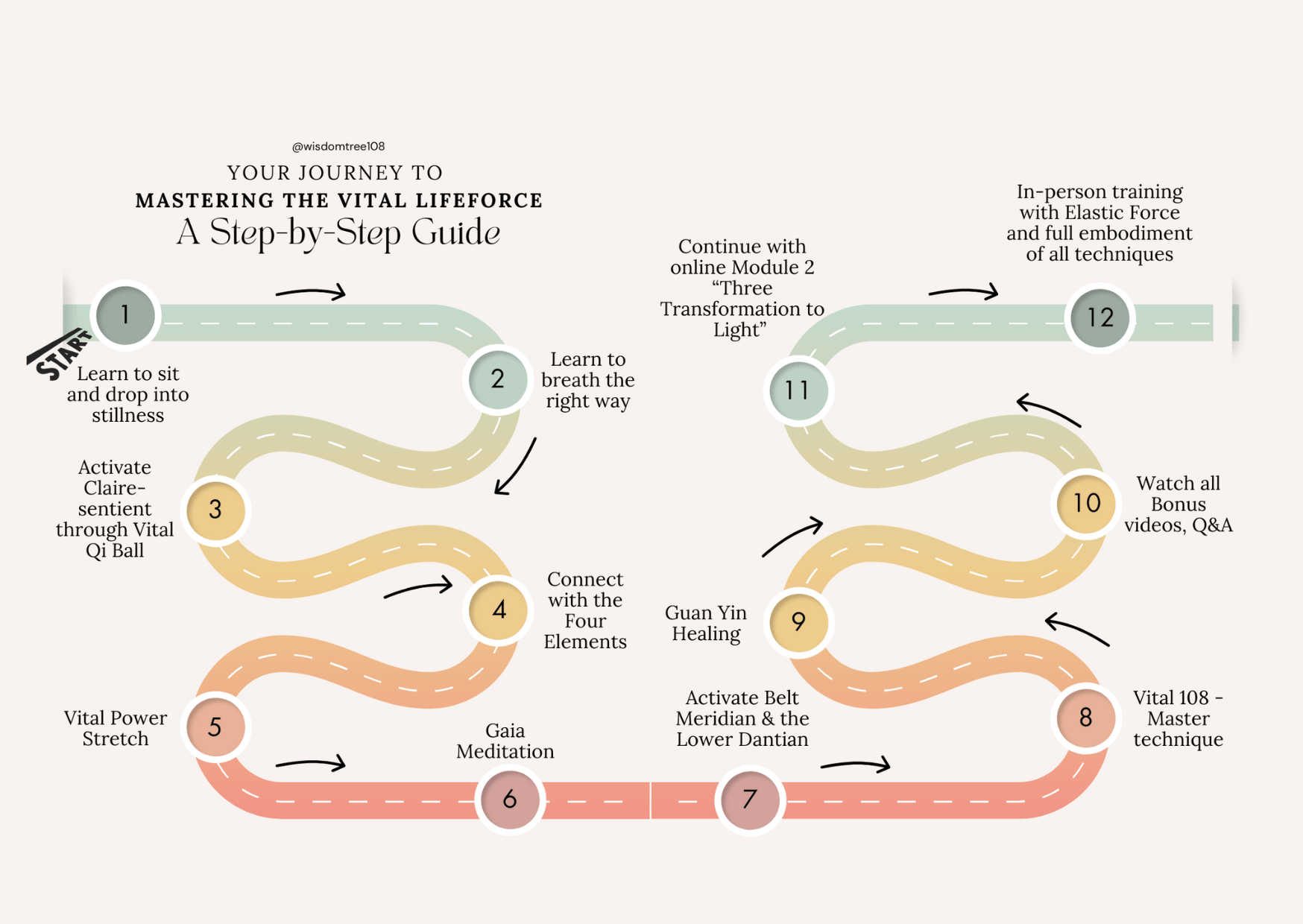 training map vital lifeforce internal alchemy