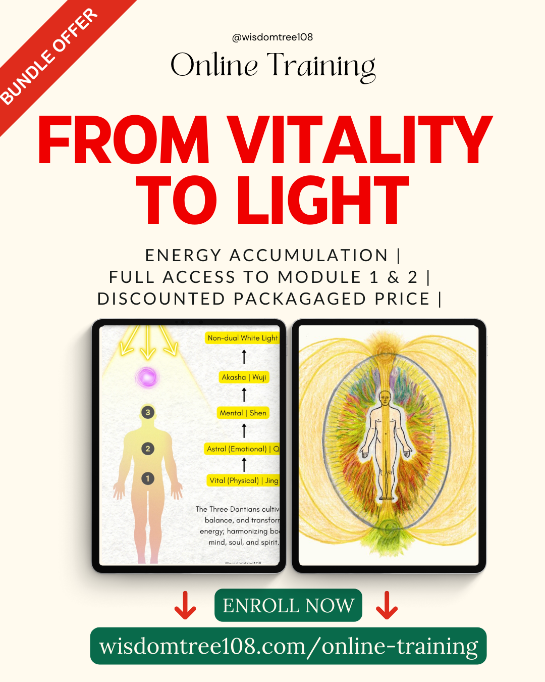 hermetic internal alchemy from vitality to light ecopark hanoi chiangmai toronto
