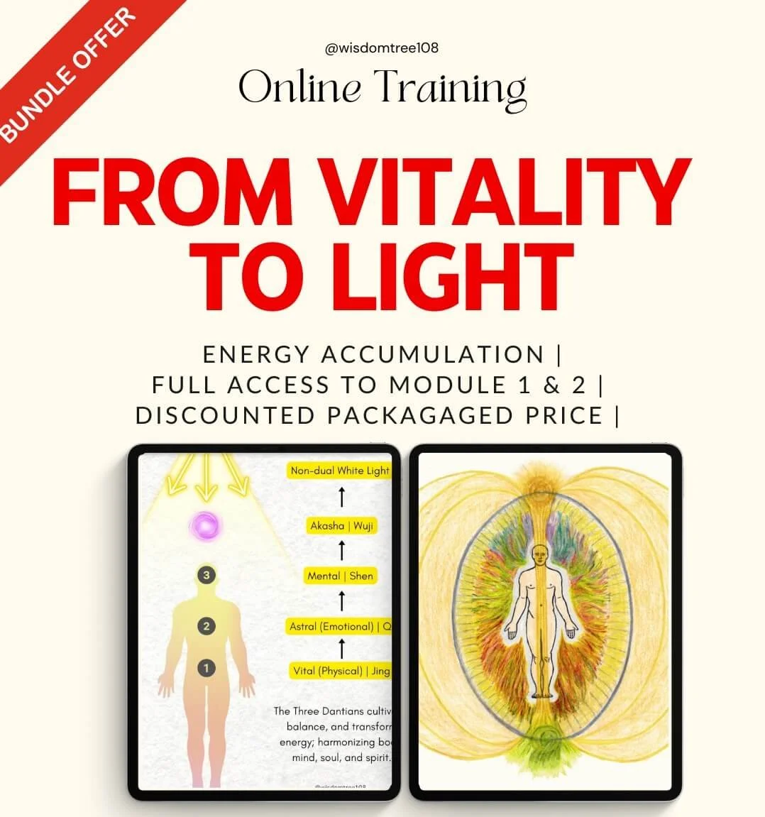 Online Energy Training & Internal Alchemy Courses | Master Your Vital ...