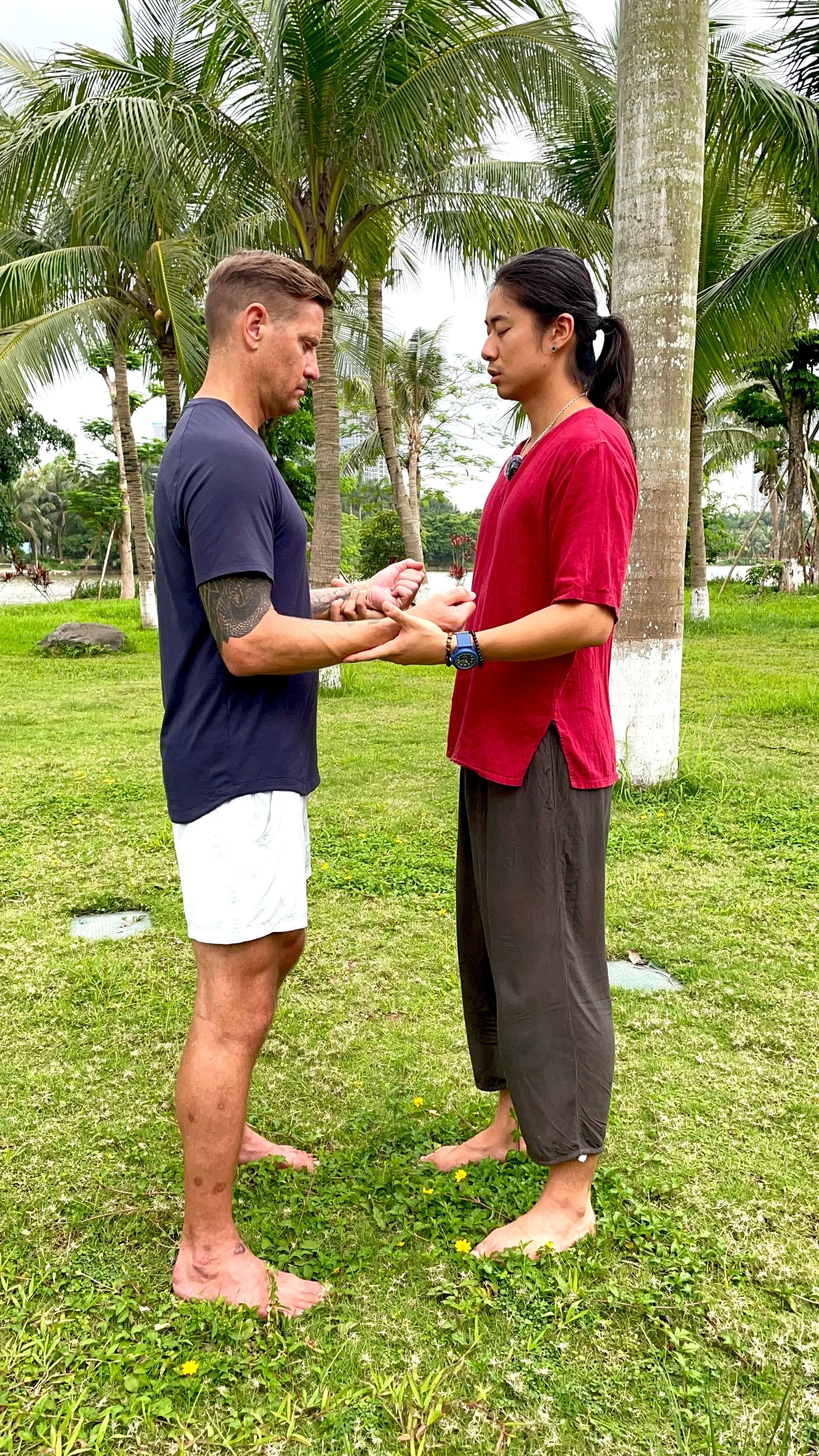 Internal alchemy, hermeticism, hermetic training hanoi vietnam chiangmai online energy work