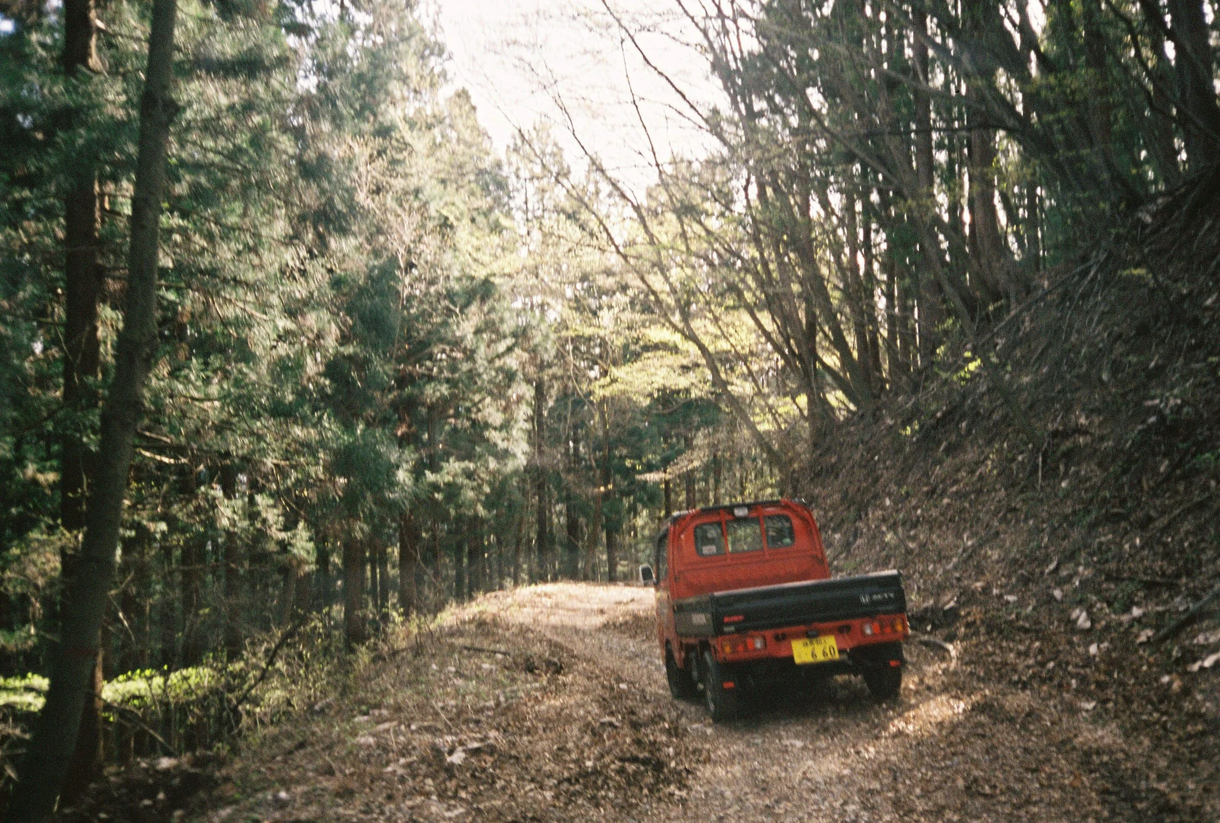 Red Acty forest road Gunma RoundCat Rally.jpg
