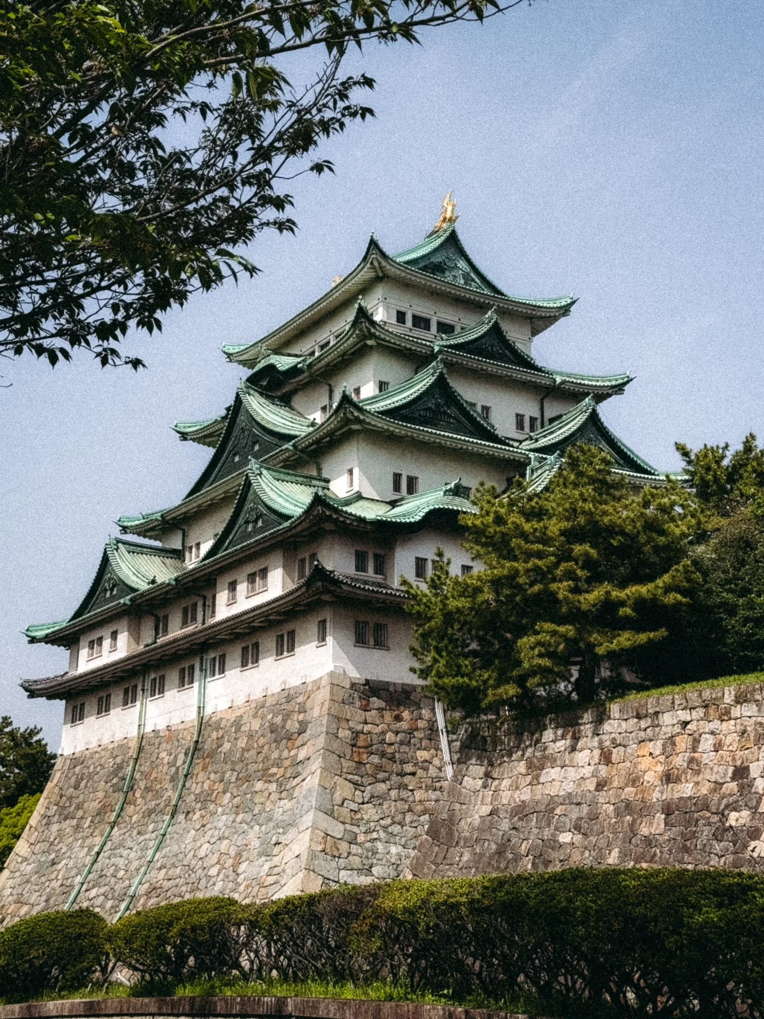 912ed8a5-470c-4317-8d2e-efa25db782d3.jpg