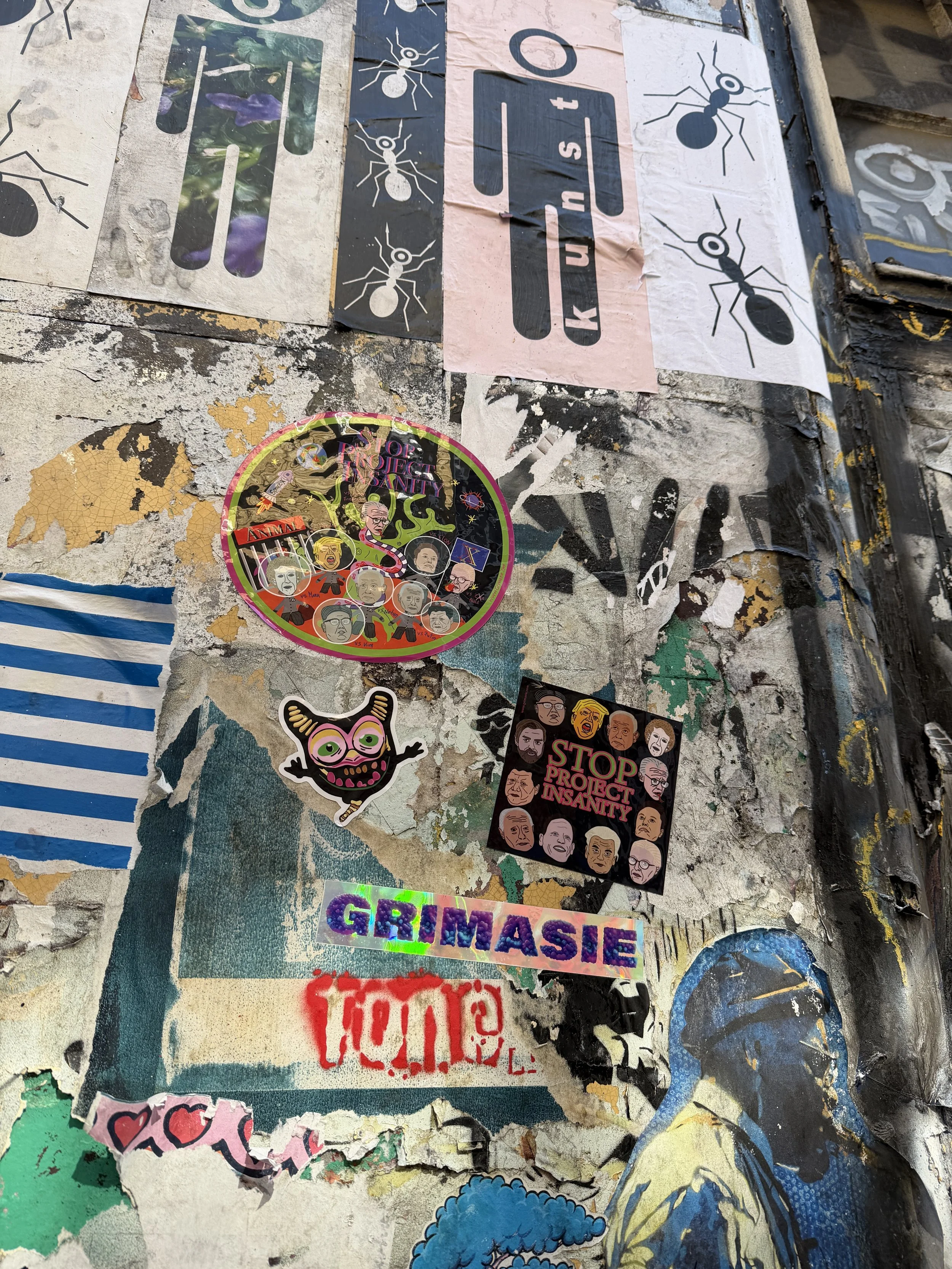 IMG_6007.jpeg