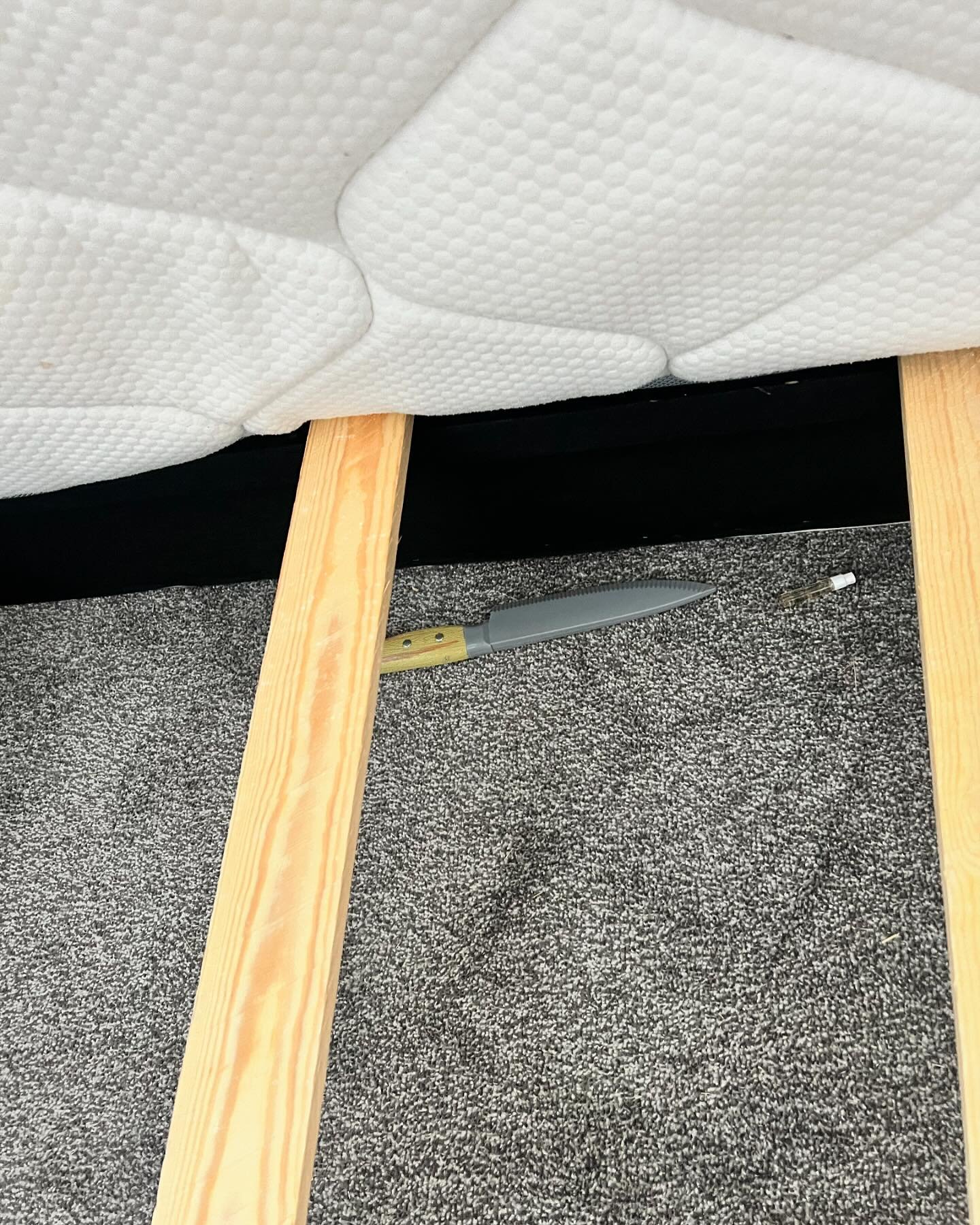This weeks weird find…