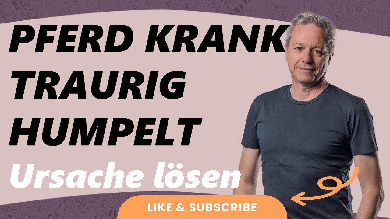 Arthrose. Wiederkehrende Koliken. Ein Pferd, das plötzlich anders wird. Dein Pferd spiegelt oft, was in dir selbst noch ungelöst ist