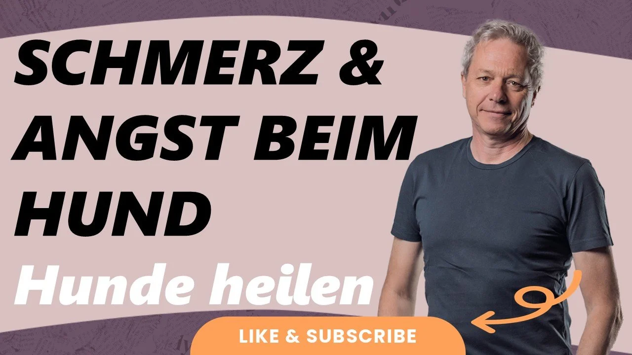 Geld, das nie reicht 💰 → warum der Mangel im Kopf entsteht, obwohl das Universum immer liefert ✨