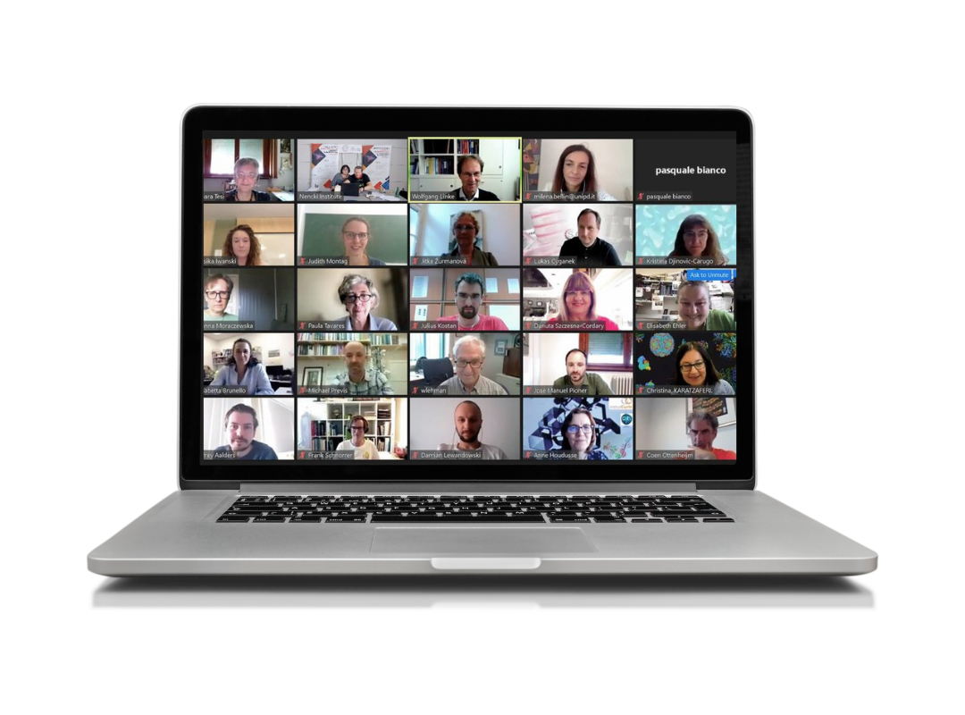 Ein Laptop mit einer YouTube-Videokonferenz mit mehreren Teilnehmern, die in kleinen Fenstern auf dem Bildschirm sichtbar sind.