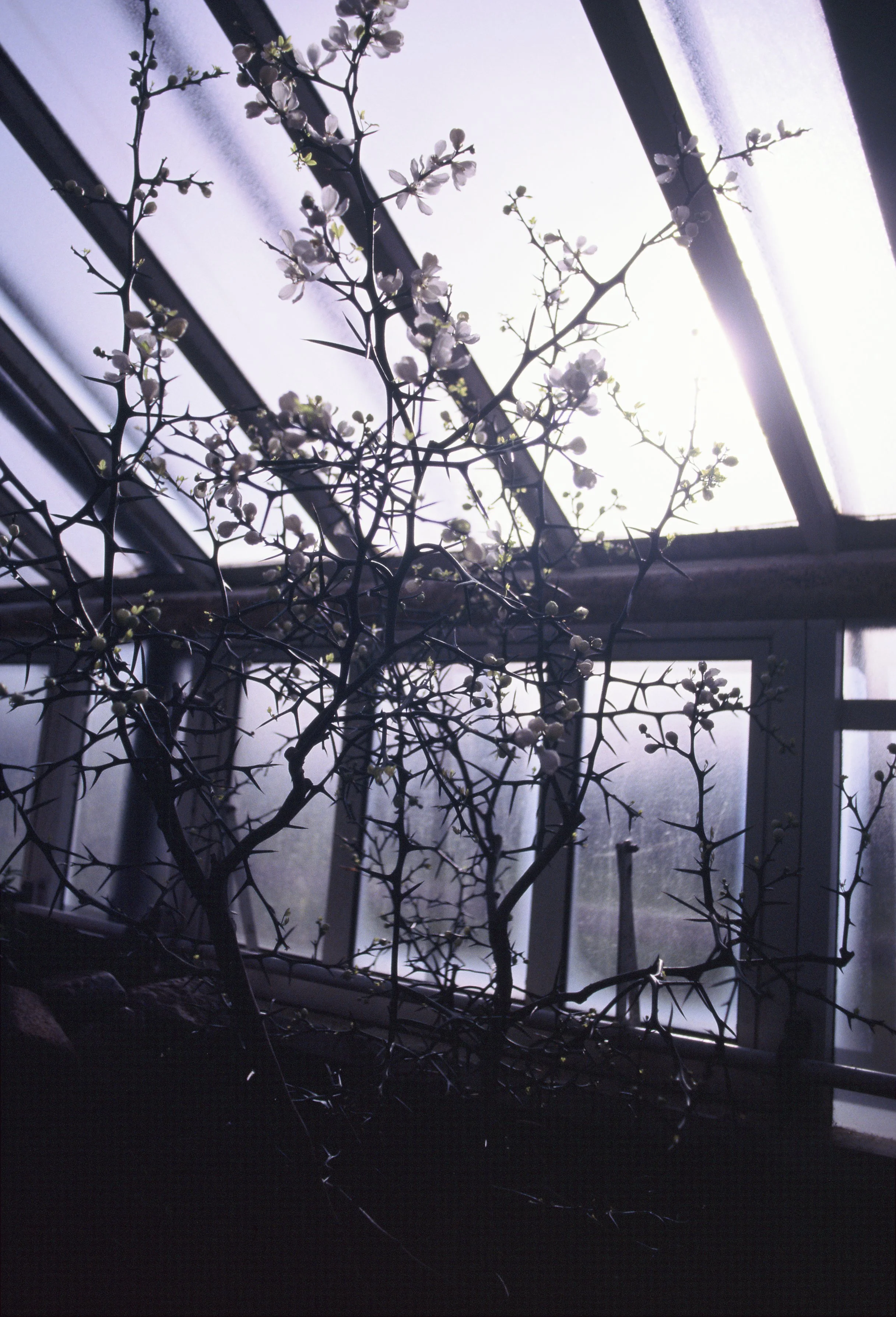 R2-05030-0002.jpg