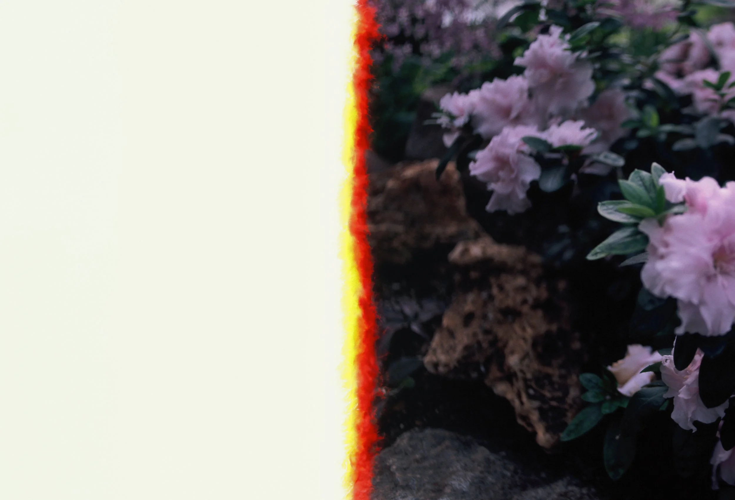 R2-05030-0001.jpg