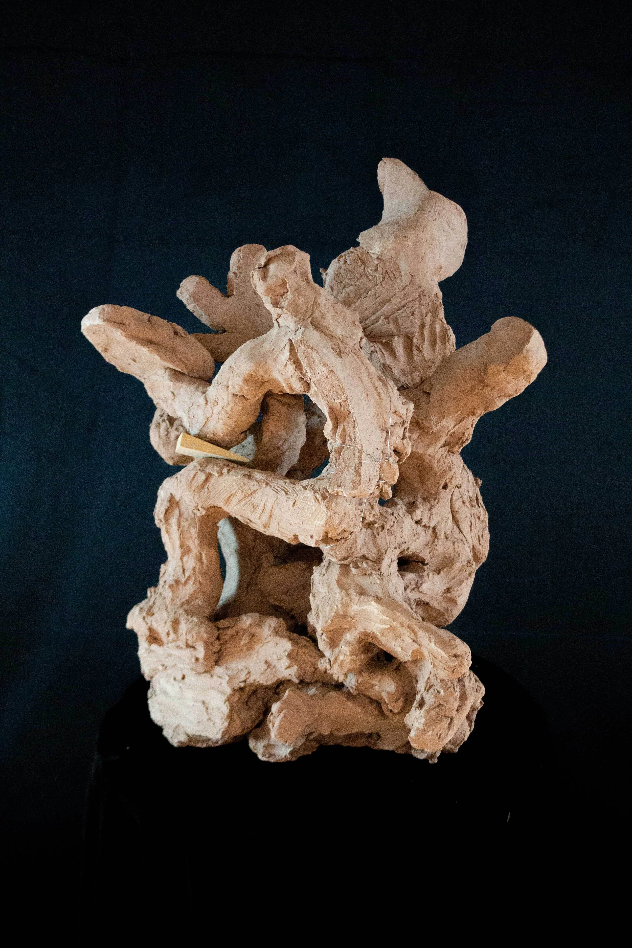   Siobhan Tate    @siobhan_tate_artist    siobhantate.com  