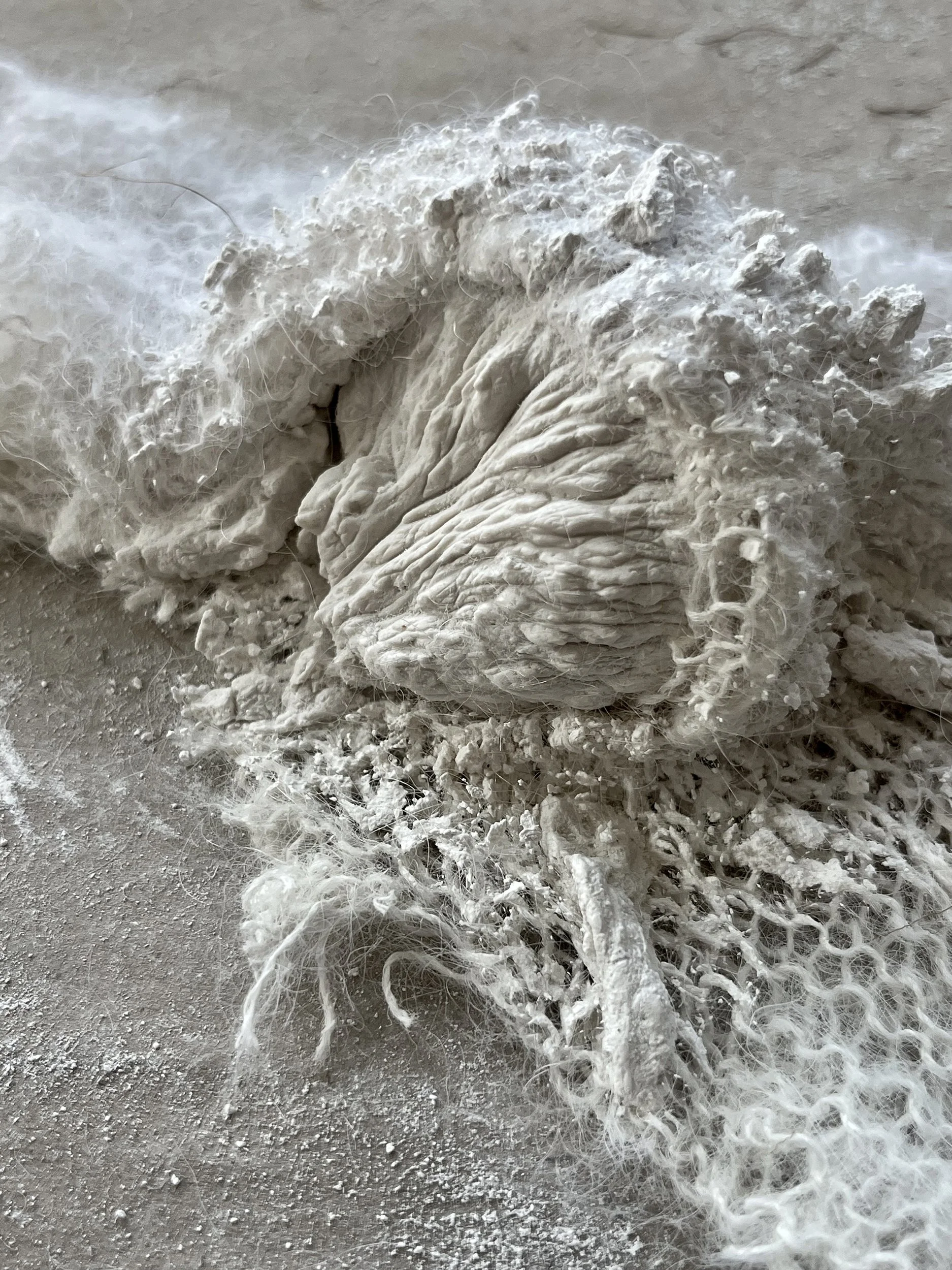   Ali Darke    @ali_darke    alidarke.com  