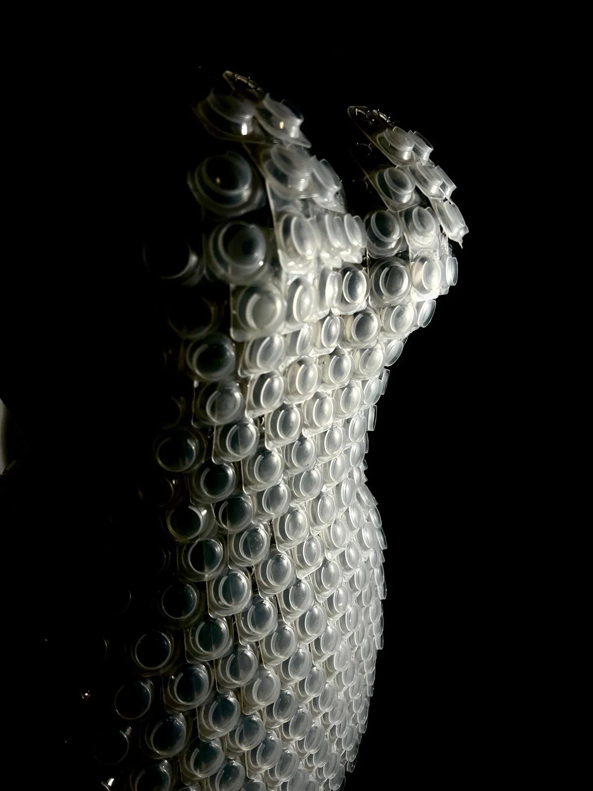   Merrie Carlton    @merriecarltonart    merriecarlton.com  