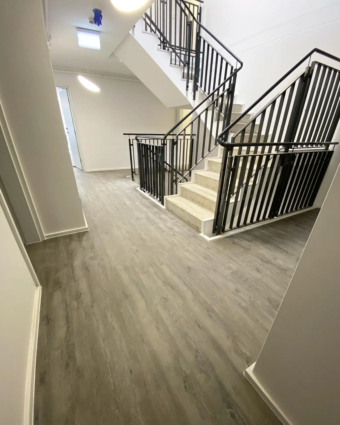17 apartments completed at the University of Sydney. All common areas and apartment internals were caulked as part of this project. ⁣
⁣
Contact us today on 0434 039 844 or send us a direct message for any of your upcoming projects 📲