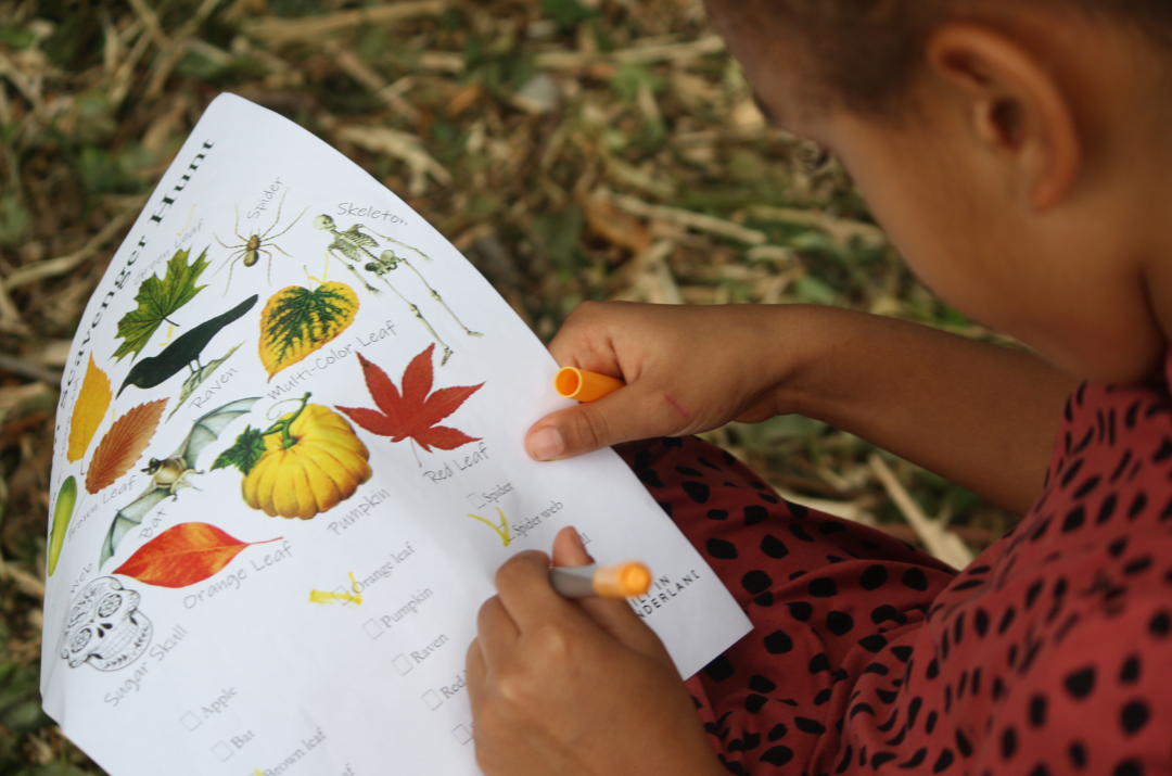 Woodland Warriors Forest School